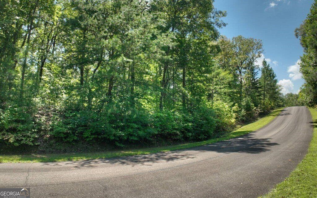 residential lot for sale at 138 Harris Creek Drive 138, Ellijay, GA 30540 — photo 8