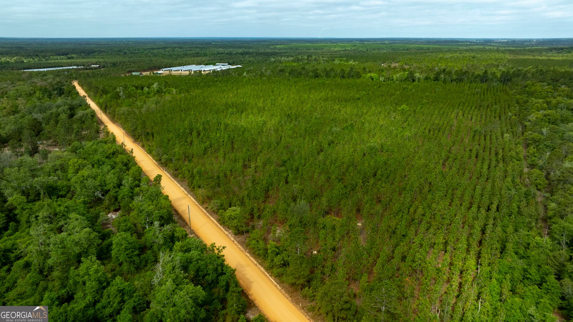 agriculture for sale at 0 Rushing Boone Road, Glennville, GA 30427 — photo 2