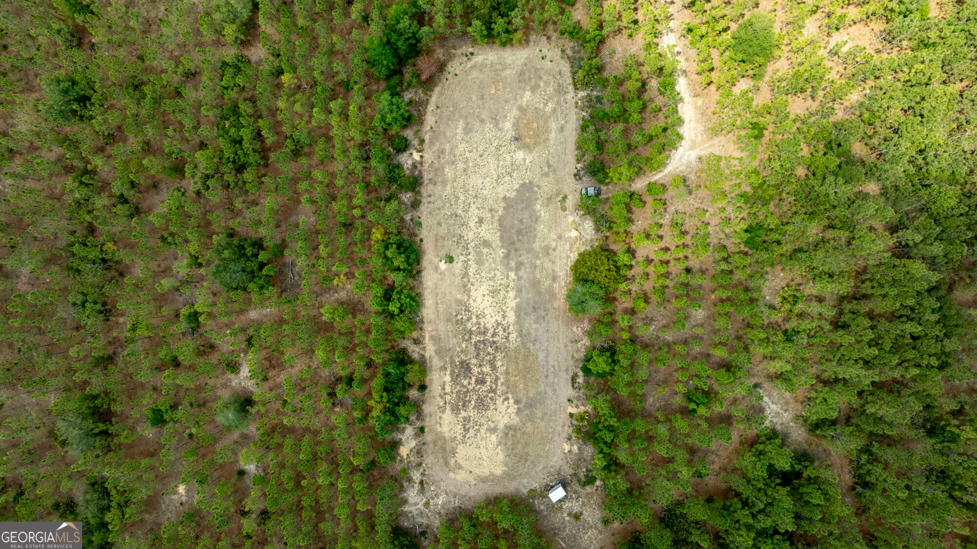 agriculture for sale at 0 Rushing Boone Road, Glennville, GA 30427 — photo 6