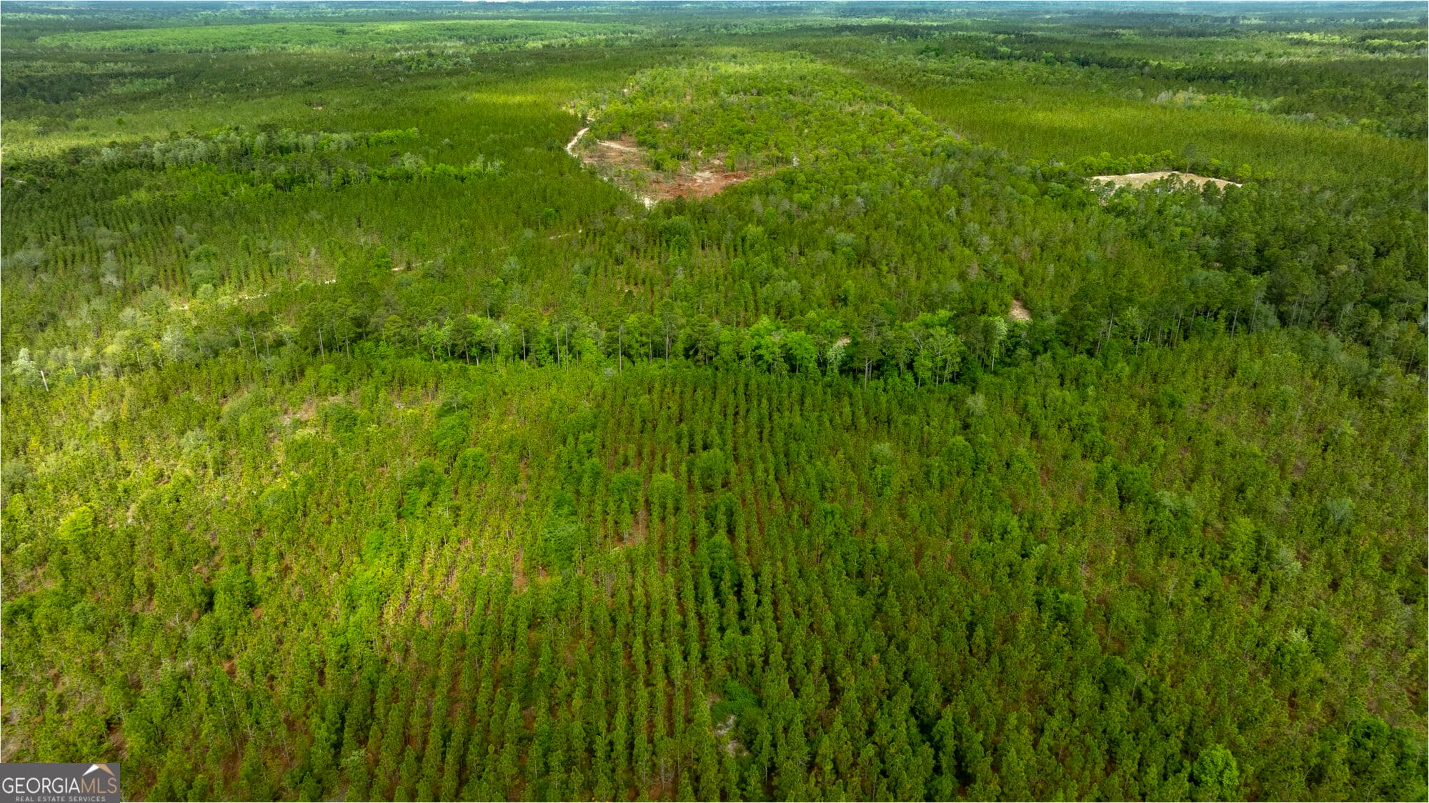 agriculture for sale at 0 Rushing Boone Road, Glennville, GA 30427