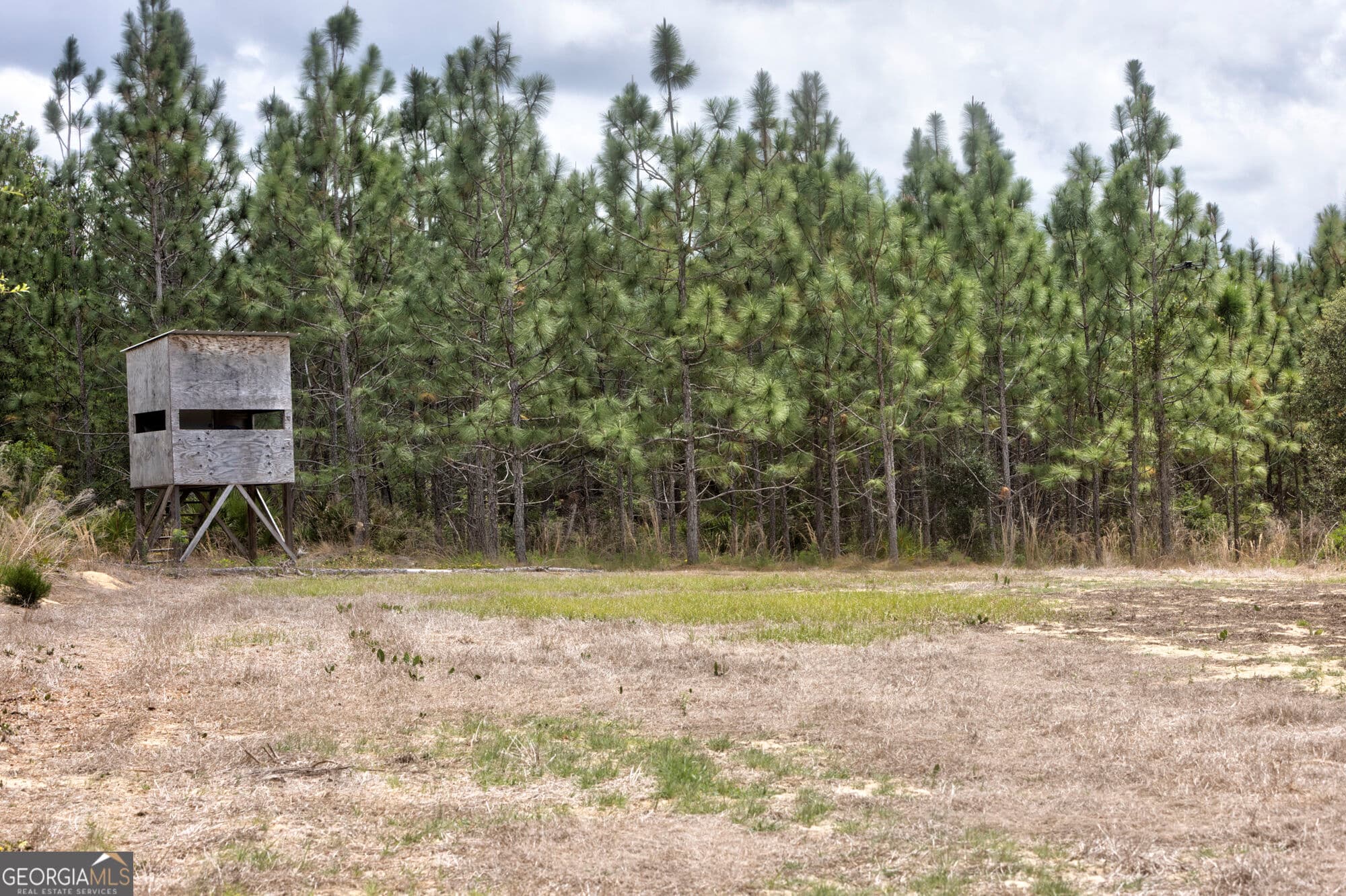 agriculture for sale at 0 Rushing Boone Road, Glennville, GA 30427 — photo 5