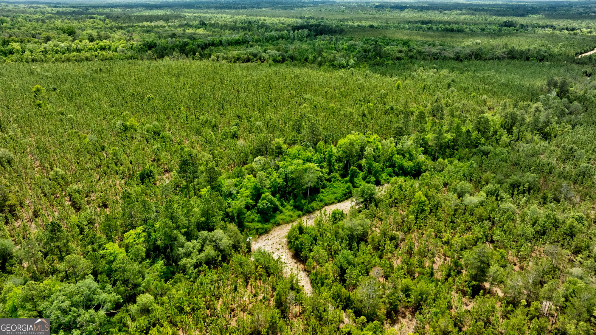 agriculture for sale at 0 Rushing Boone Road, Glennville, GA 30427 — photo 9