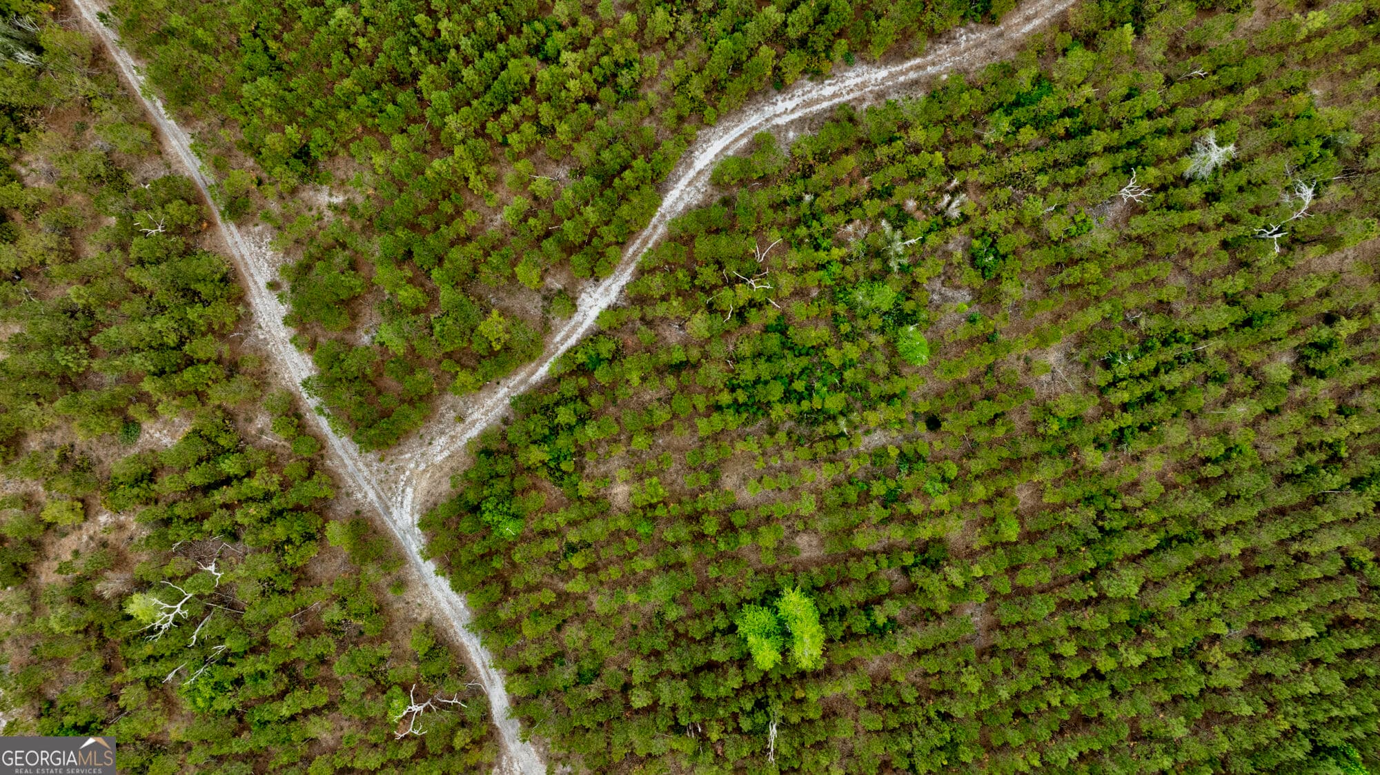 agriculture for sale at 0 Rushing Boone Road, Glennville, GA 30427 — photo 4