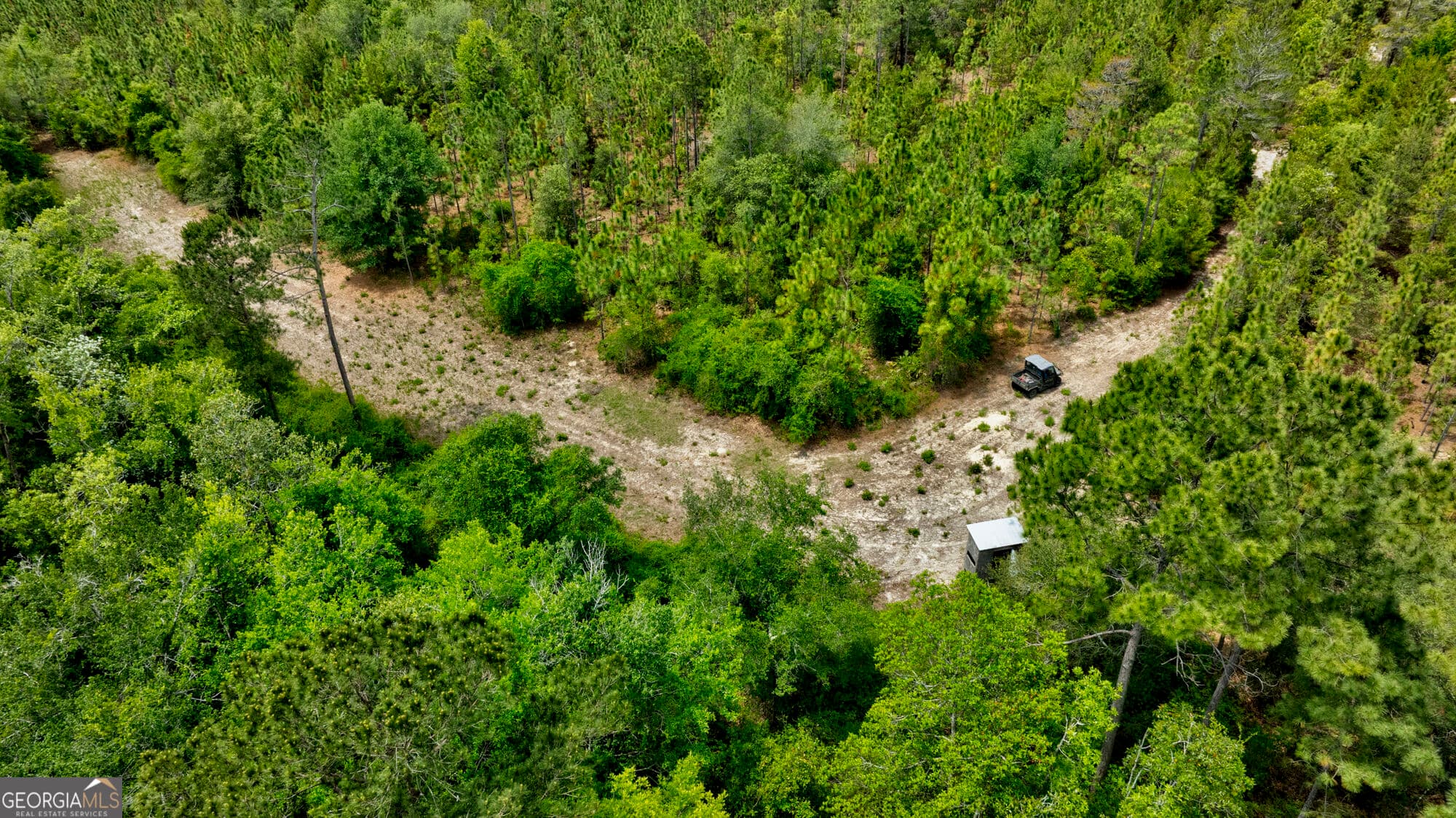 agriculture for sale at 0 Rushing Boone Road, Glennville, GA 30427 — photo 8