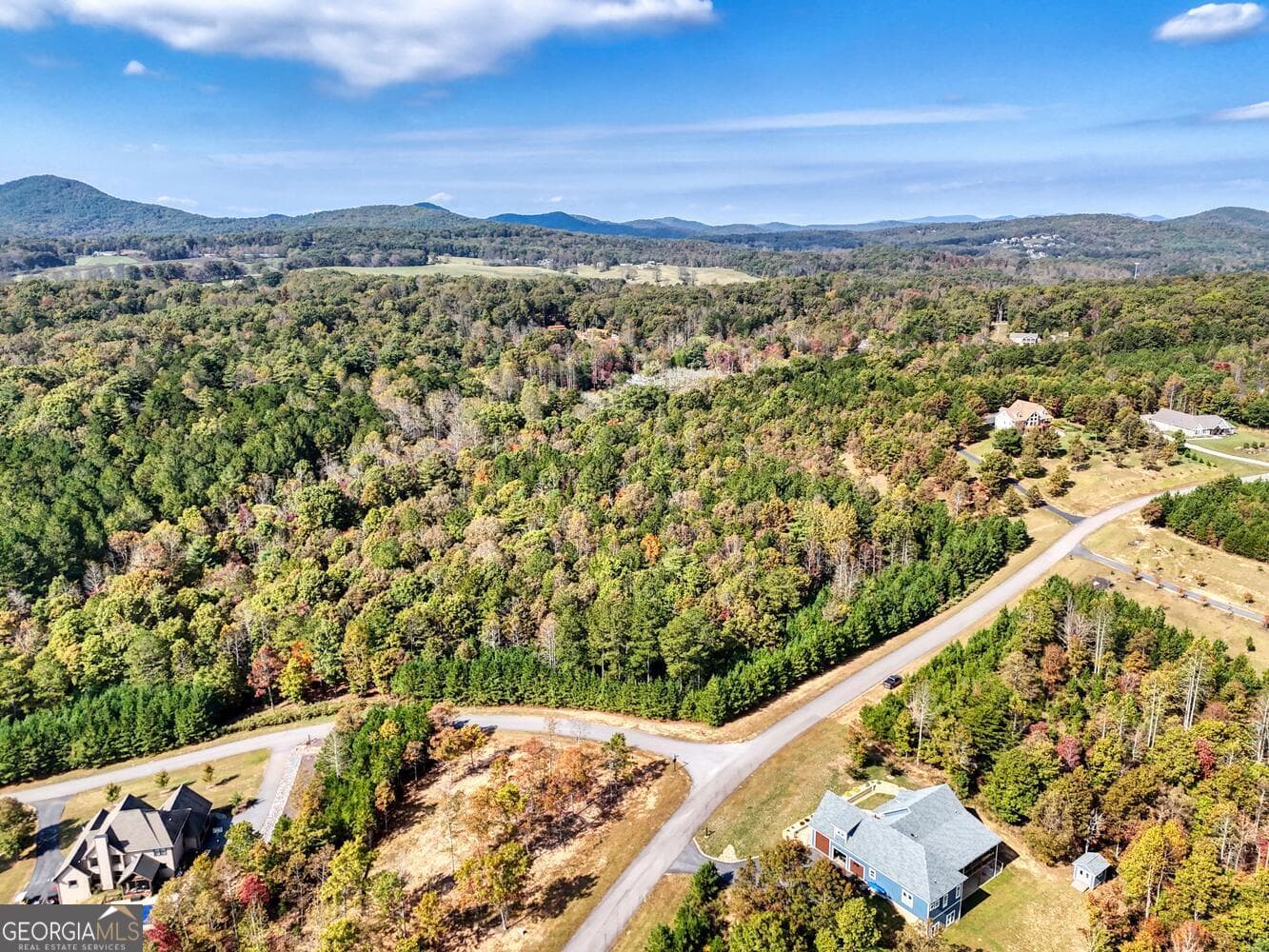 residential lot for sale at LOT 43 Northshore Lane, Blairsville, GA 30512 — photo 5