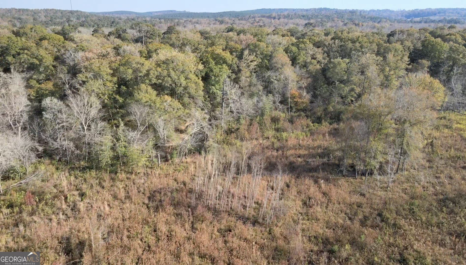 agriculture for sale at 0 Old Eighty Five Road, Sandersville, GA 31082 — photo 7