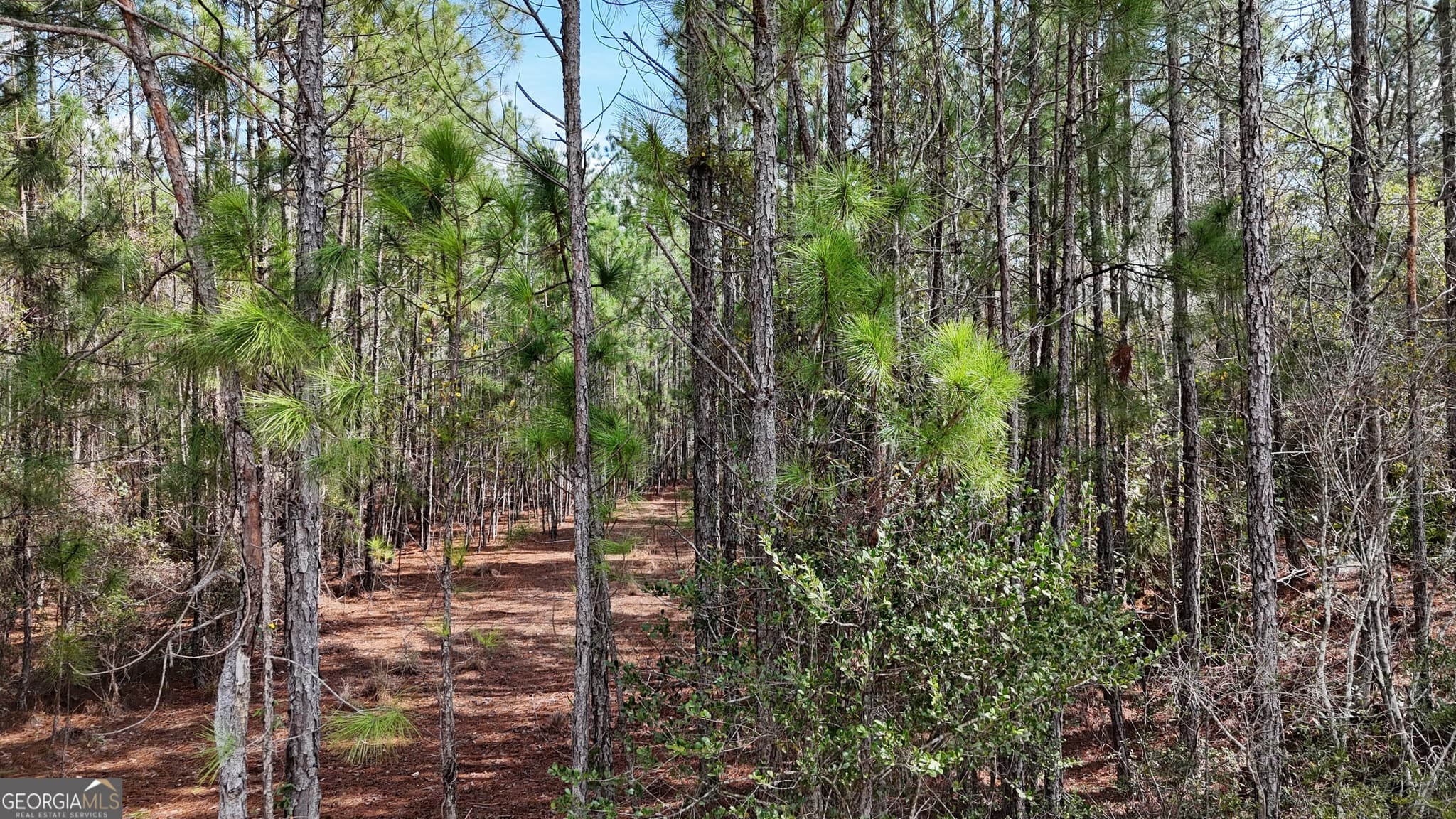 residential lot for sale at 75 Lila Lane, Pembroke, GA 31321 — photo 2