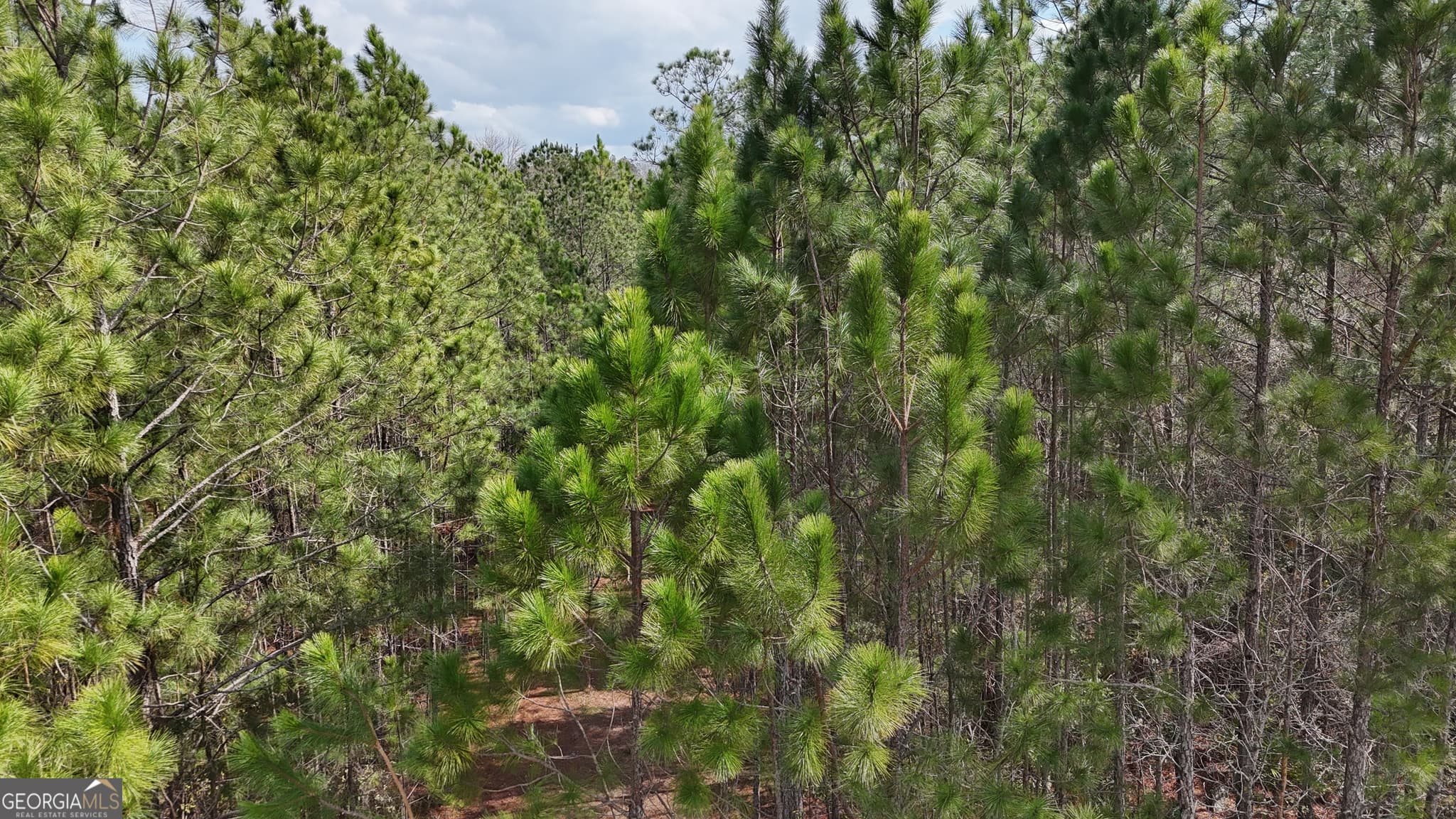 residential lot for sale at 75 Lila Lane, Pembroke, GA 31321 — photo 6