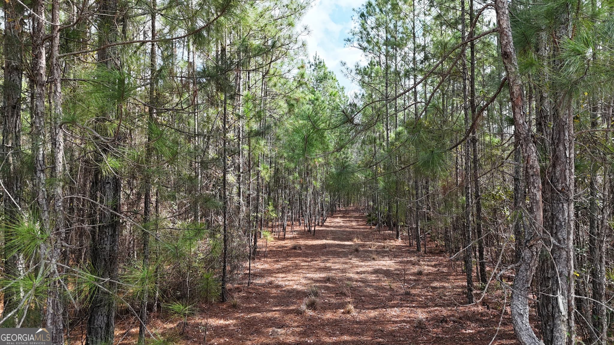 residential lot for sale at 75 Lila Lane, Pembroke, GA 31321 — photo 3