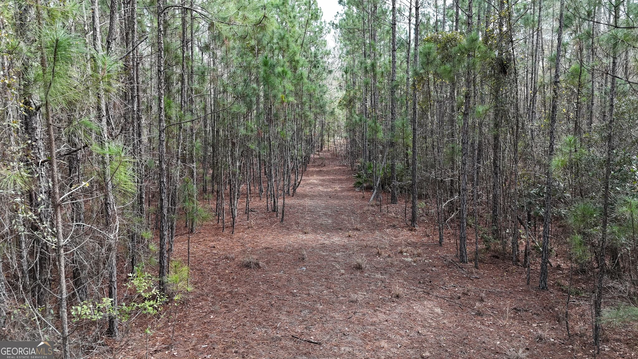 residential lot for sale at 75 Lila Lane, Pembroke, GA 31321