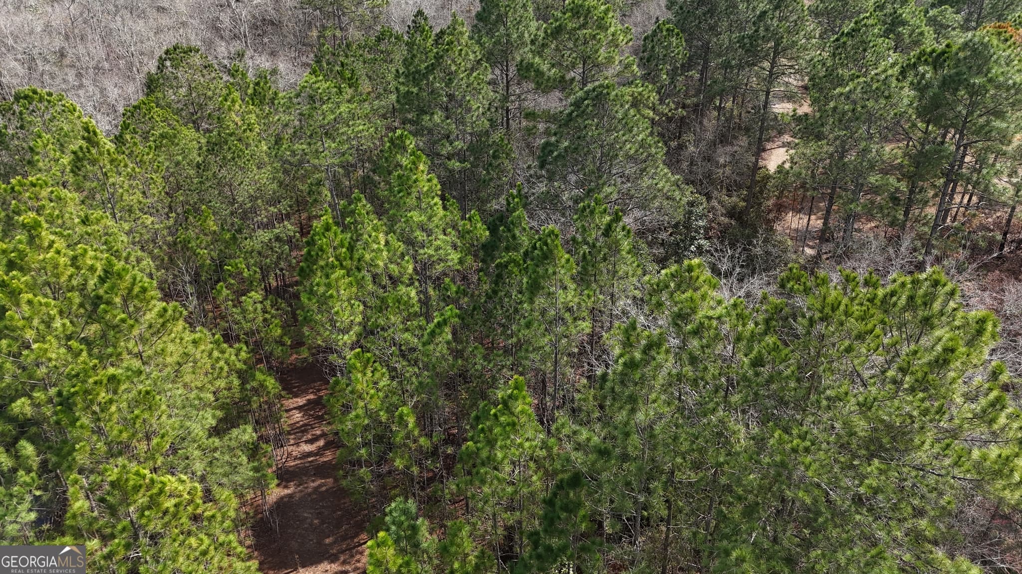 residential lot for sale at 75 Lila Lane, Pembroke, GA 31321 — photo 5
