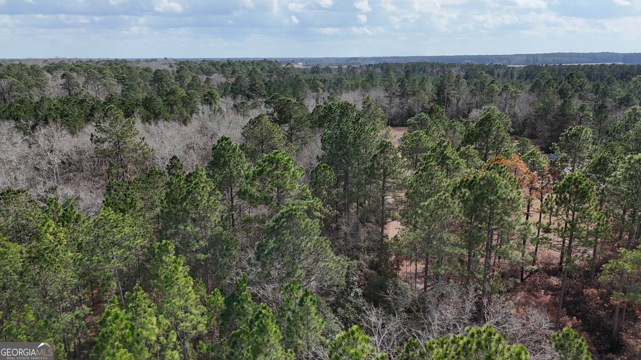 residential lot for sale at 75 Lila Lane, Pembroke, GA 31321 — photo 8