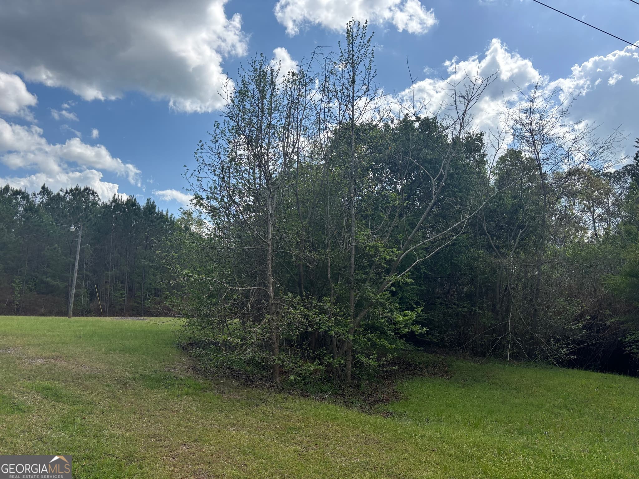 residential lot for sale at 45 Scott Murphy Lane 201, Hamilton, GA 31811 — photo 2