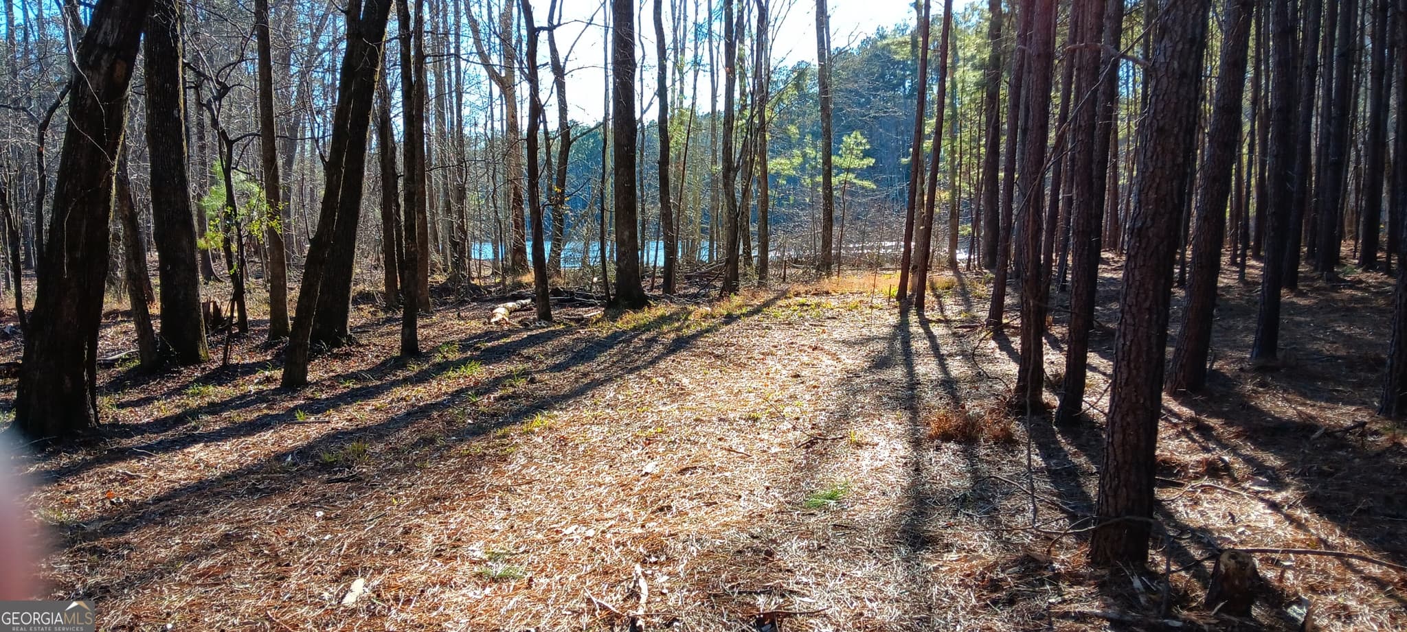 residential lot for sale at 1 Sweetbriar Lane A, Griffin, GA 30224 — photo 2