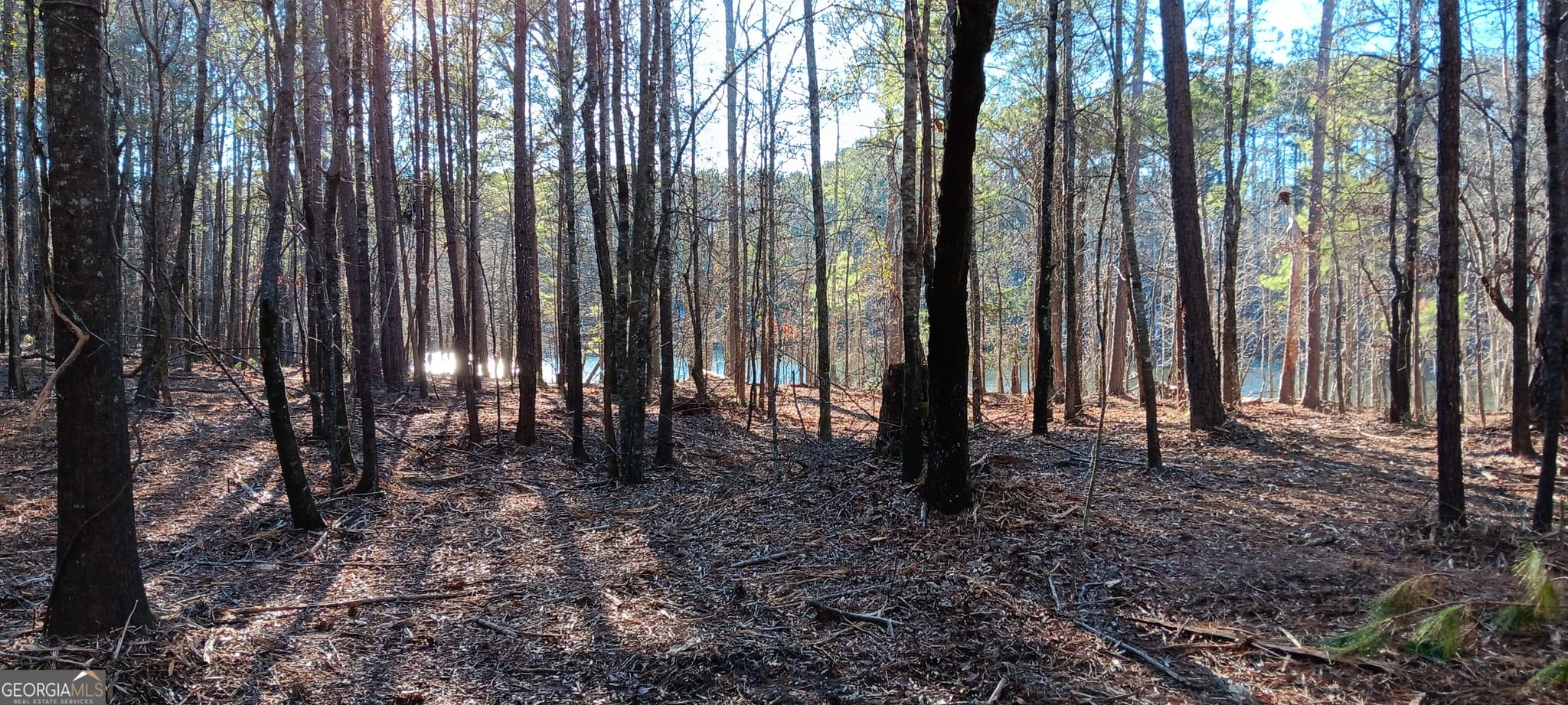 residential lot for sale at 1 Sweetbriar Lane A, Griffin, GA 30224 — photo 7