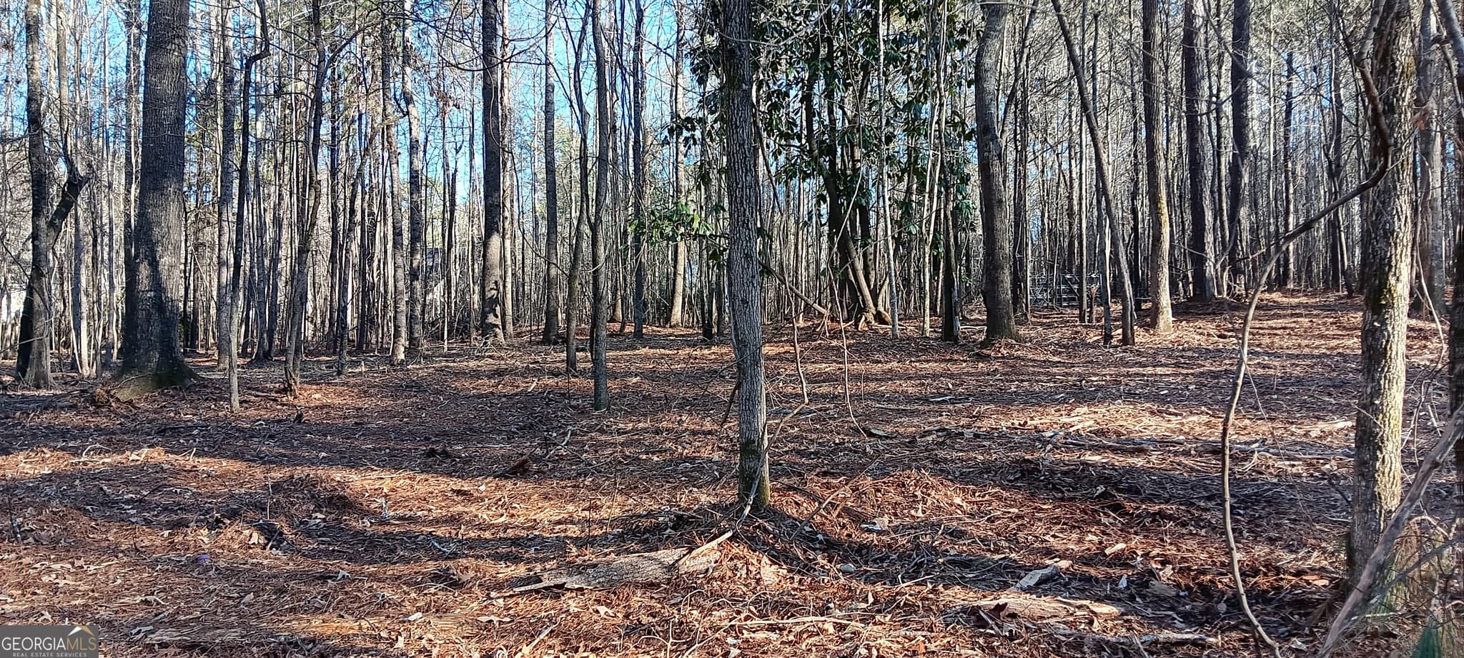 residential lot for sale at 1 Sweetbriar Lane A, Griffin, GA 30224 — photo 5