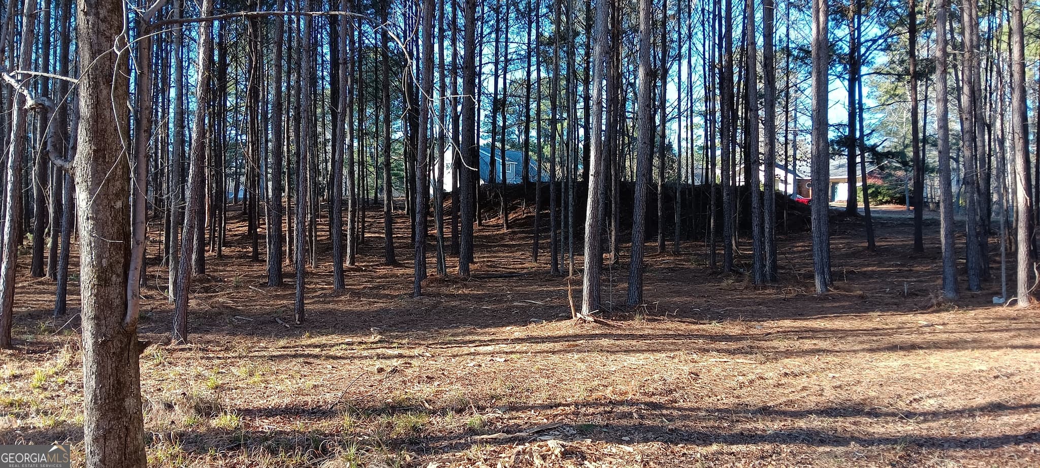 residential lot for sale at 1 Sweetbriar Lane A, Griffin, GA 30224 — photo 9