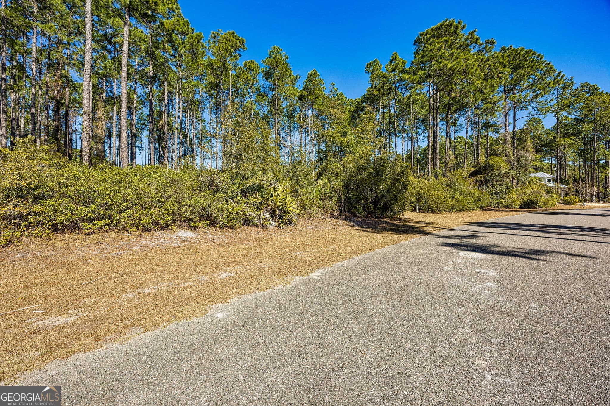 residential lot for sale at 108 Wild Horse Court, St. Marys, GA 31558 — photo 3