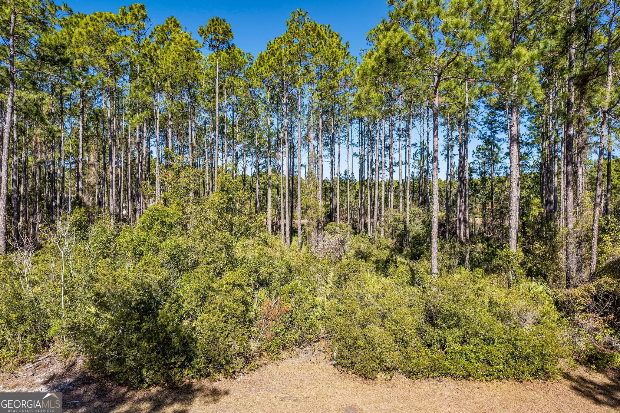 residential lot for sale at 108 Wild Horse Court, St. Marys, GA 31558 — photo 5
