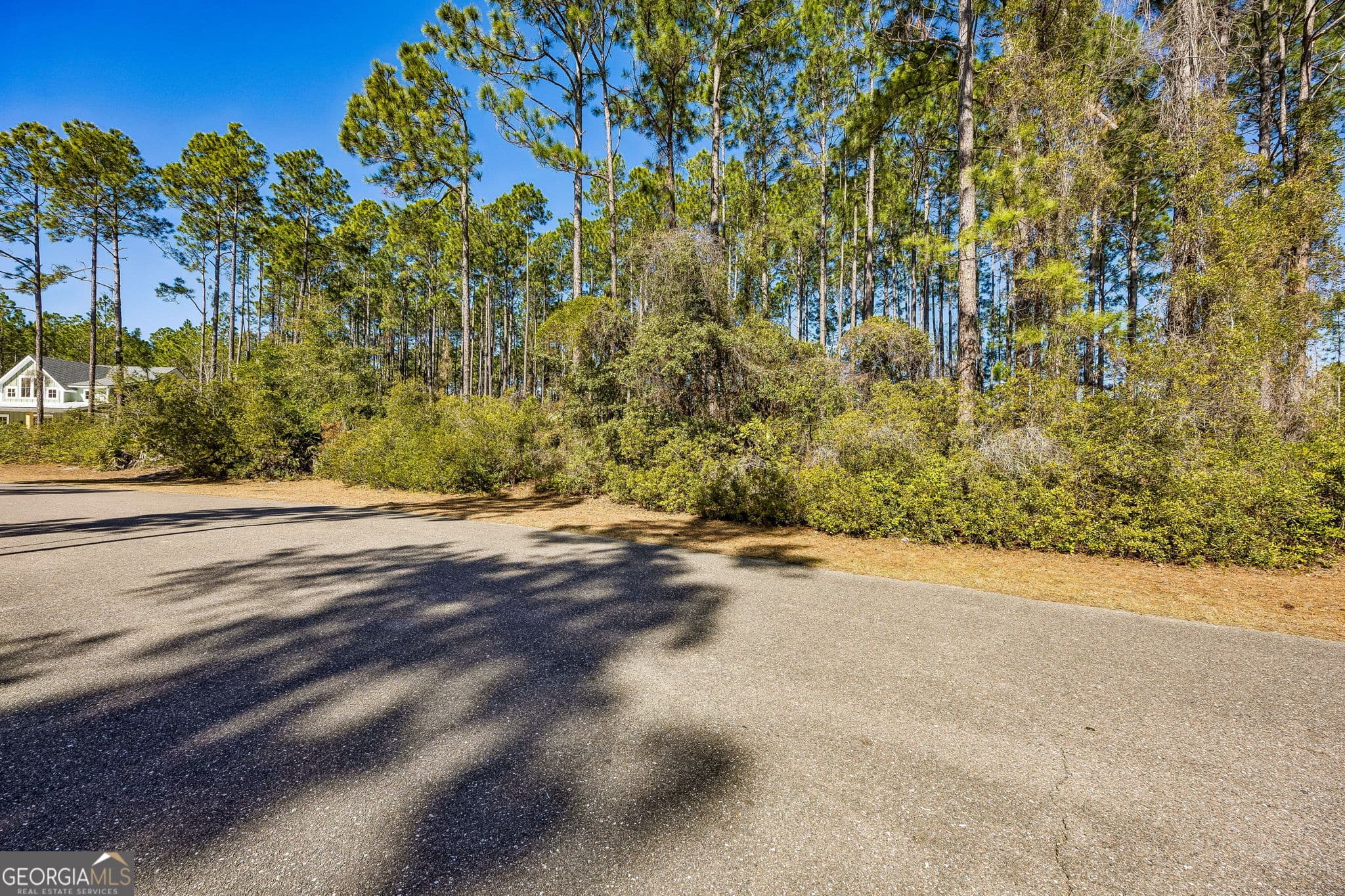 residential lot for sale at 108 Wild Horse Court, St. Marys, GA 31558 — photo 4