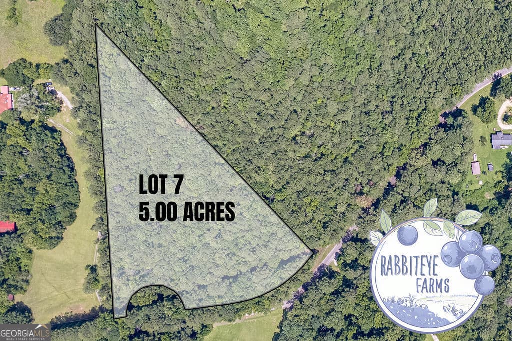 estate lot for sale at LOT 7 Haynes Road, Moreland, GA 30259 — photo 2