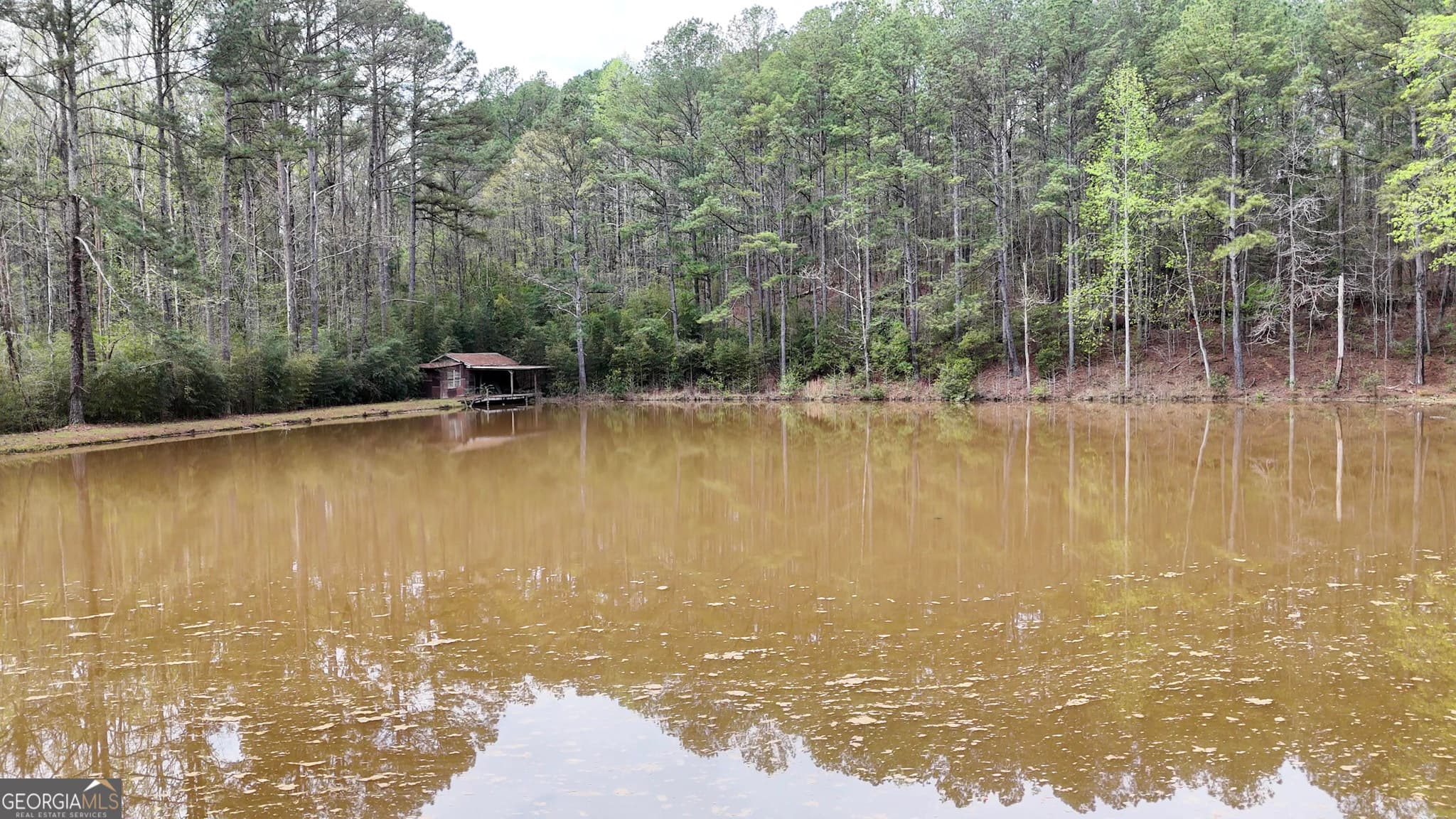 3 bedroom, 2 bathroom, 2,884 sq ft mixed use for sale at 1351 New Franklin Road, Lagrange, GA 30240 — photo 3
