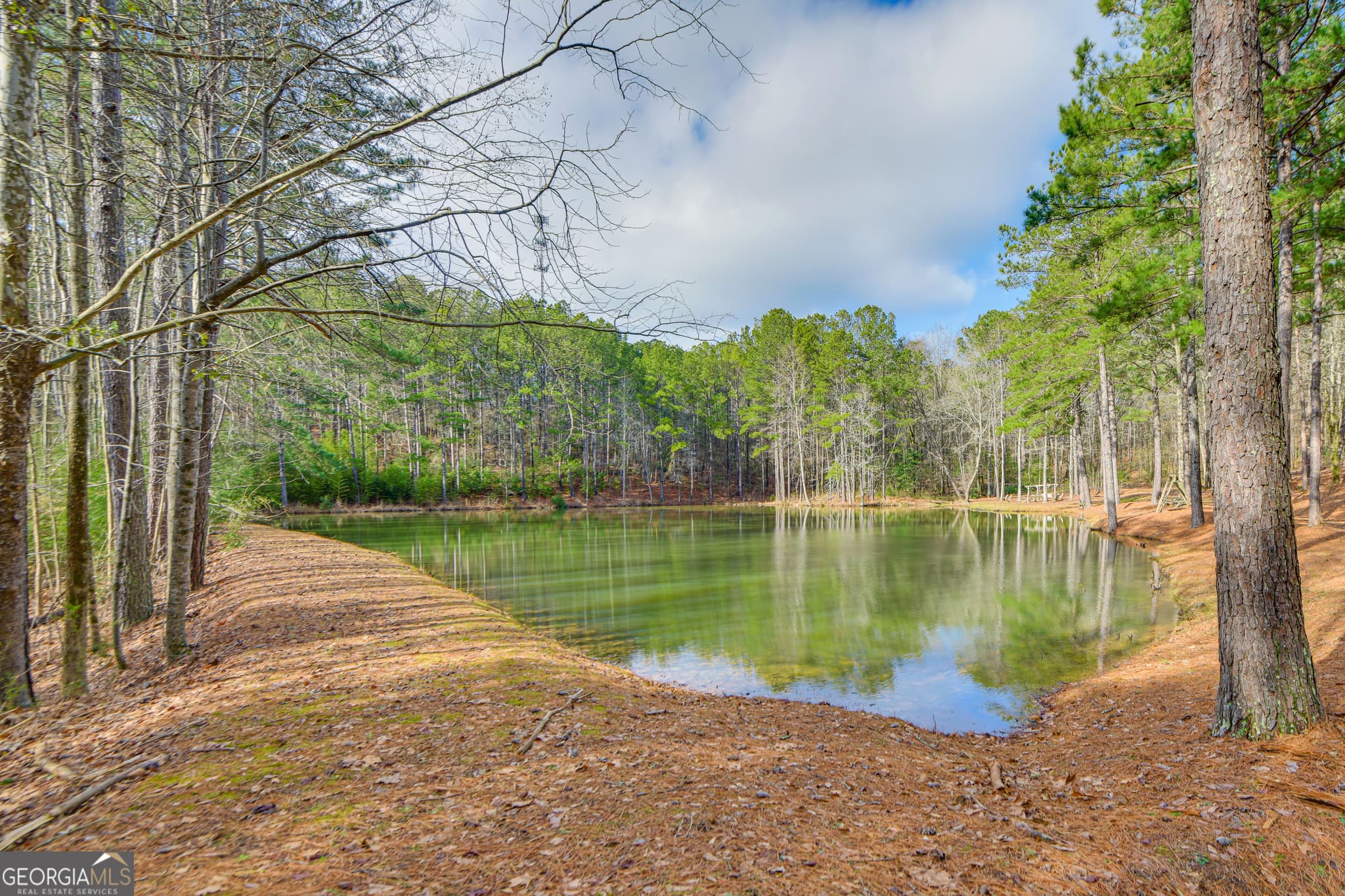 3 bedroom, 2 bathroom, 2,884 sq ft mixed use for sale at 1351 New Franklin Road, Lagrange, GA 30240 — photo 4