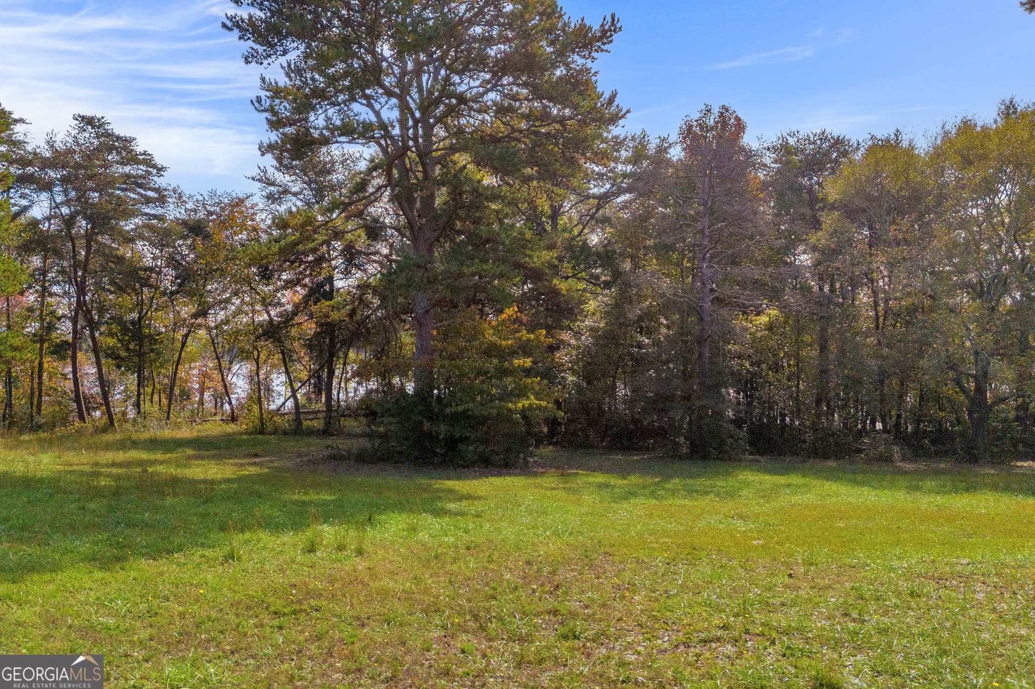 residential lot for sale at LOT 17 Sidney Point, Hartwell, GA 30643 — photo 9