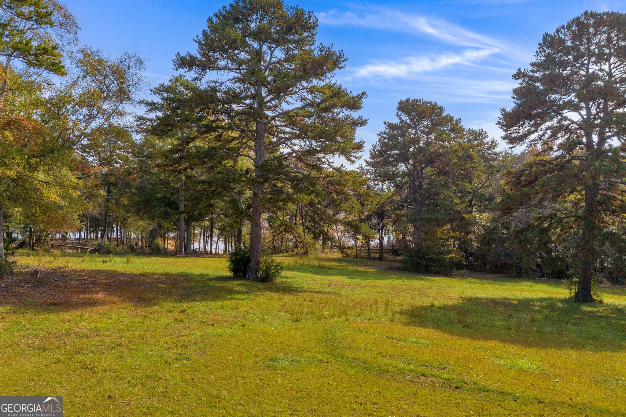 residential lot for sale at LOT 17 Sidney Point, Hartwell, GA 30643 — photo 8