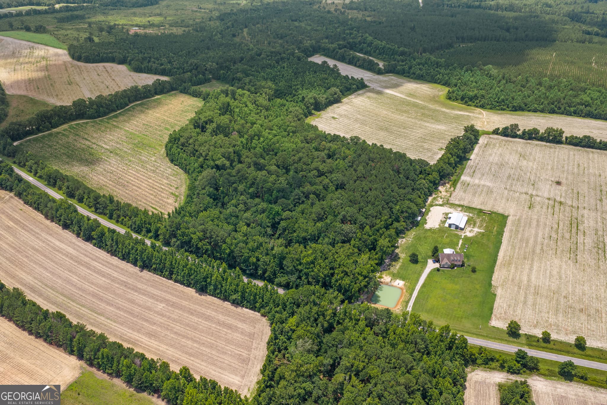 residential lot for sale at 17384 Old River Road, Garfield, GA 30425 — photo 6