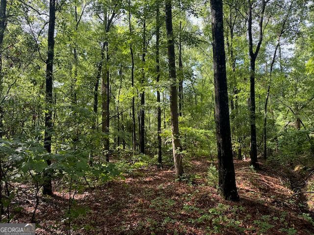 residential lot for sale at LOT 08 Winchester Way, Sandersville, GA 31082 — photo 2