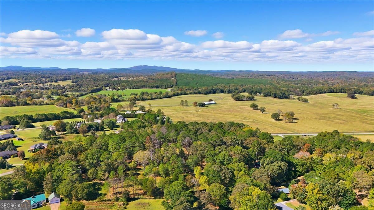 unimproved land for sale at 0 Cave Spring Road, Cedartown, GA 30125 — photo 3