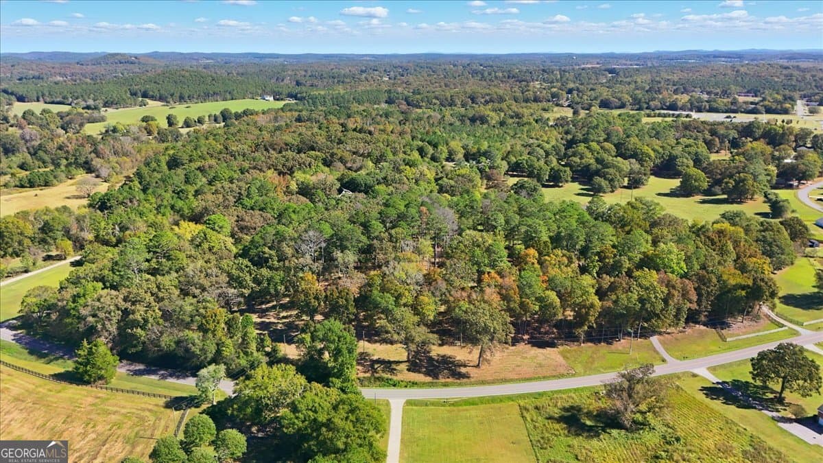 unimproved land for sale at 0 Cave Spring Road, Cedartown, GA 30125 — photo 8