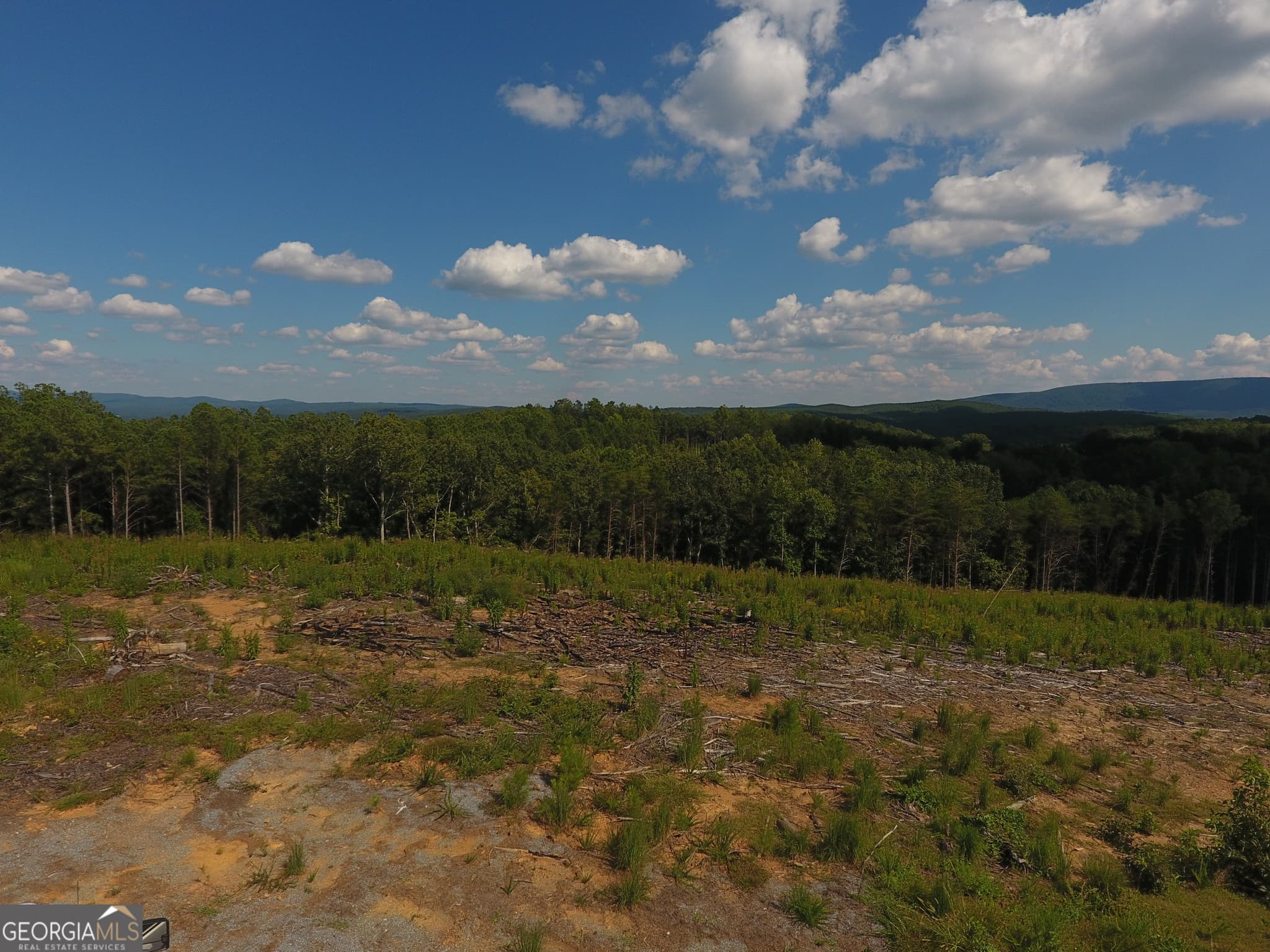 estate lot for sale at 0 Johnson Mountain Road 7401-F, Rydal, GA 30171 — photo 6