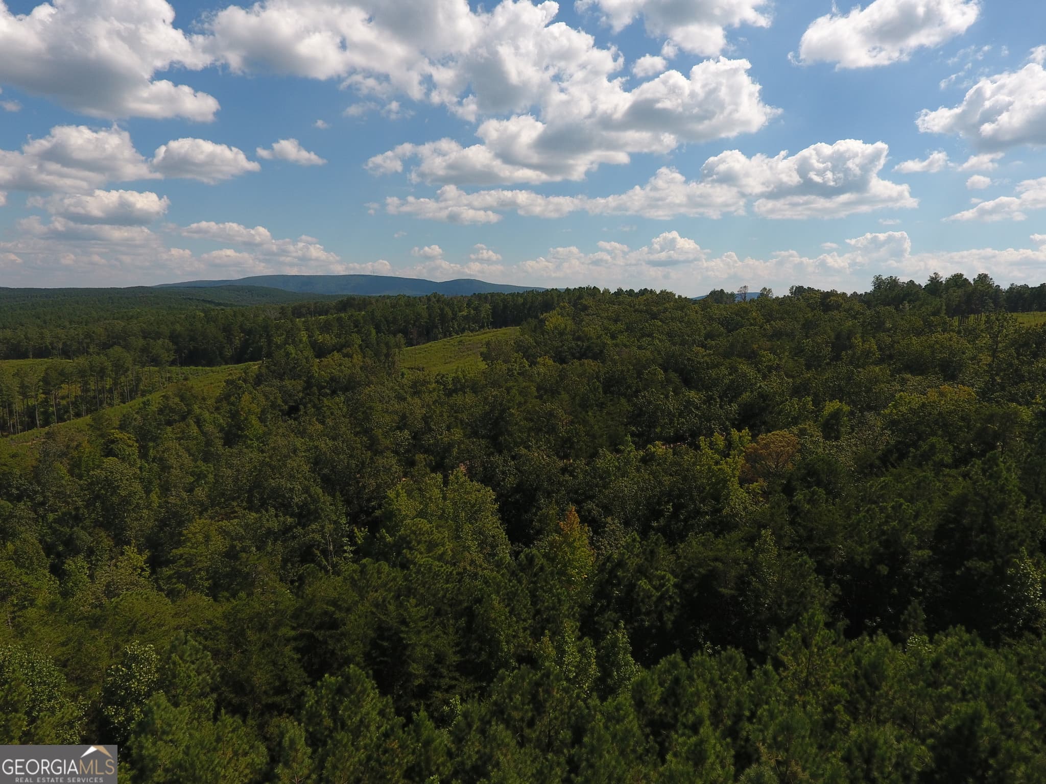 estate lot for sale at 0 Johnson Mountain Road 7401-F, Rydal, GA 30171 — photo 7