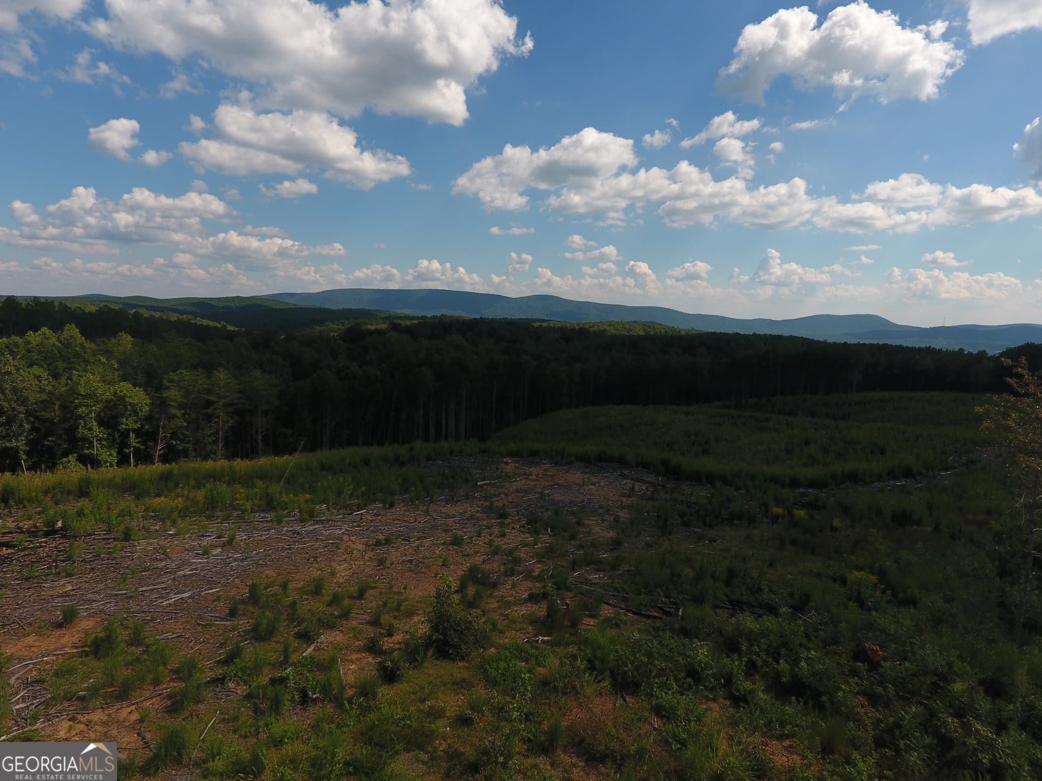 estate lot for sale at 0 Johnson Mountain Road 7401-F, Rydal, GA 30171 — photo 4