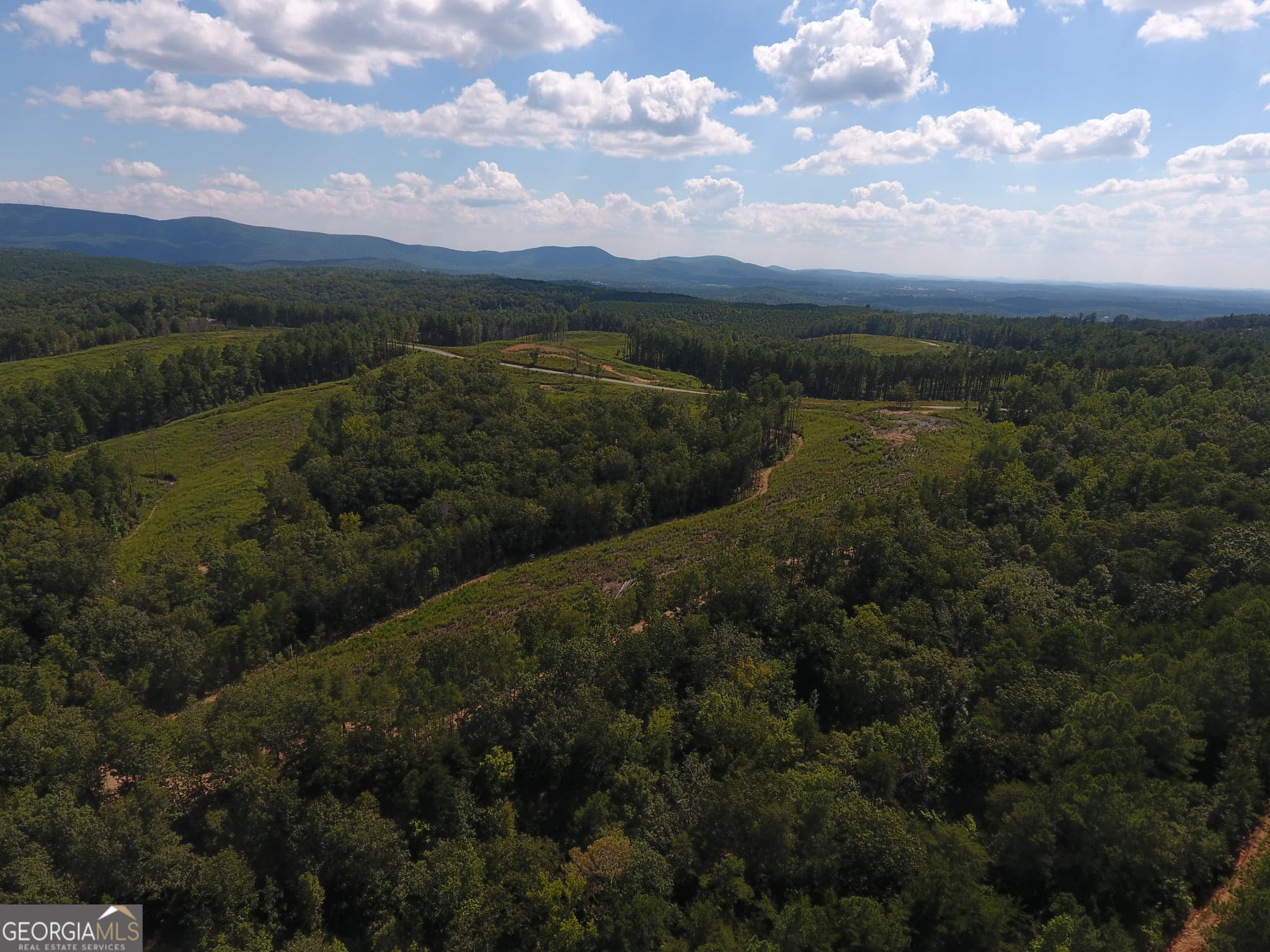 estate lot for sale at 0 Johnson Mountain Road 7401-F, Rydal, GA 30171 — photo 8