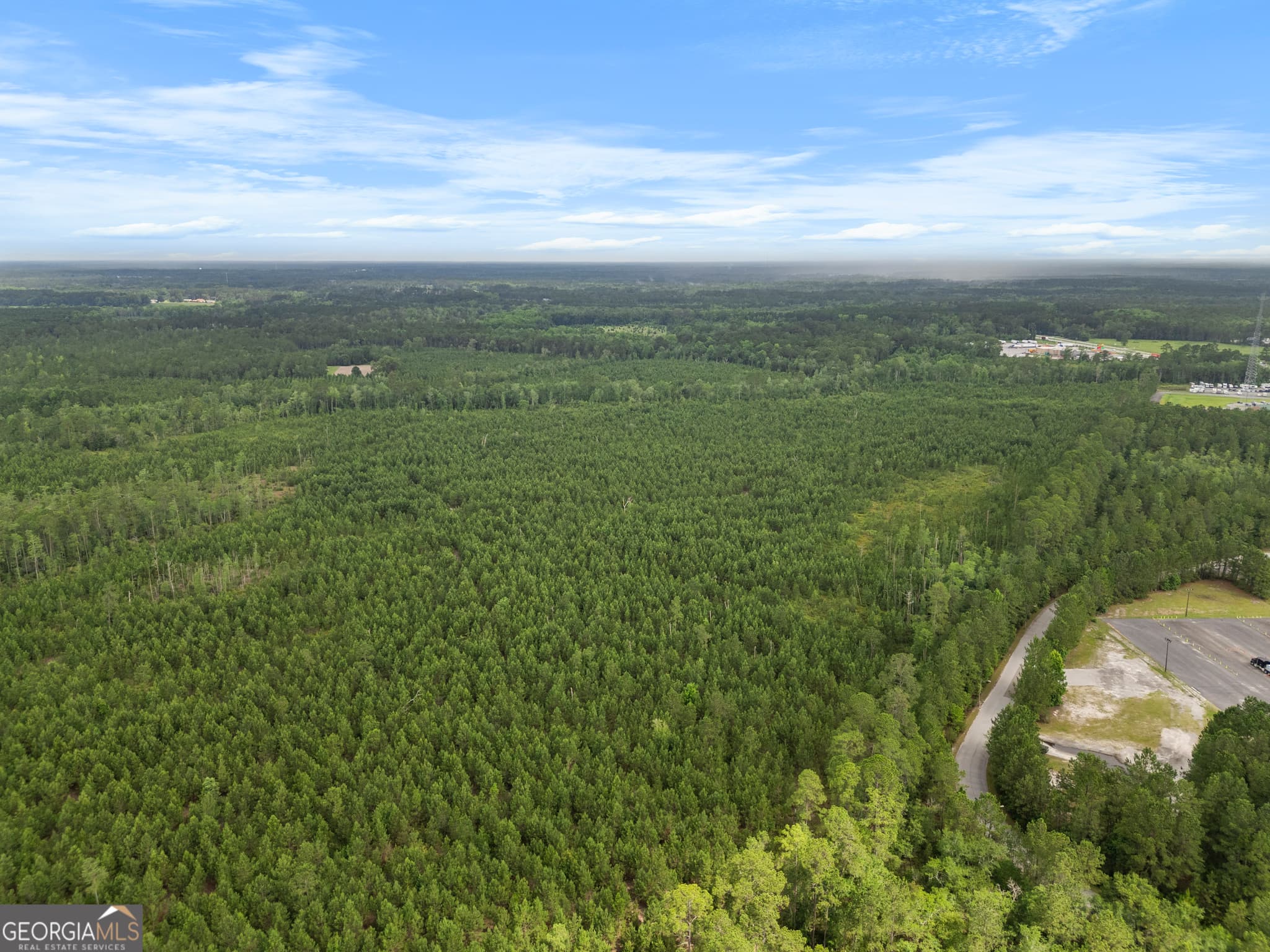 unimproved land for sale at 0 Rahn Station Road, Rincon, GA 31326 — photo 6