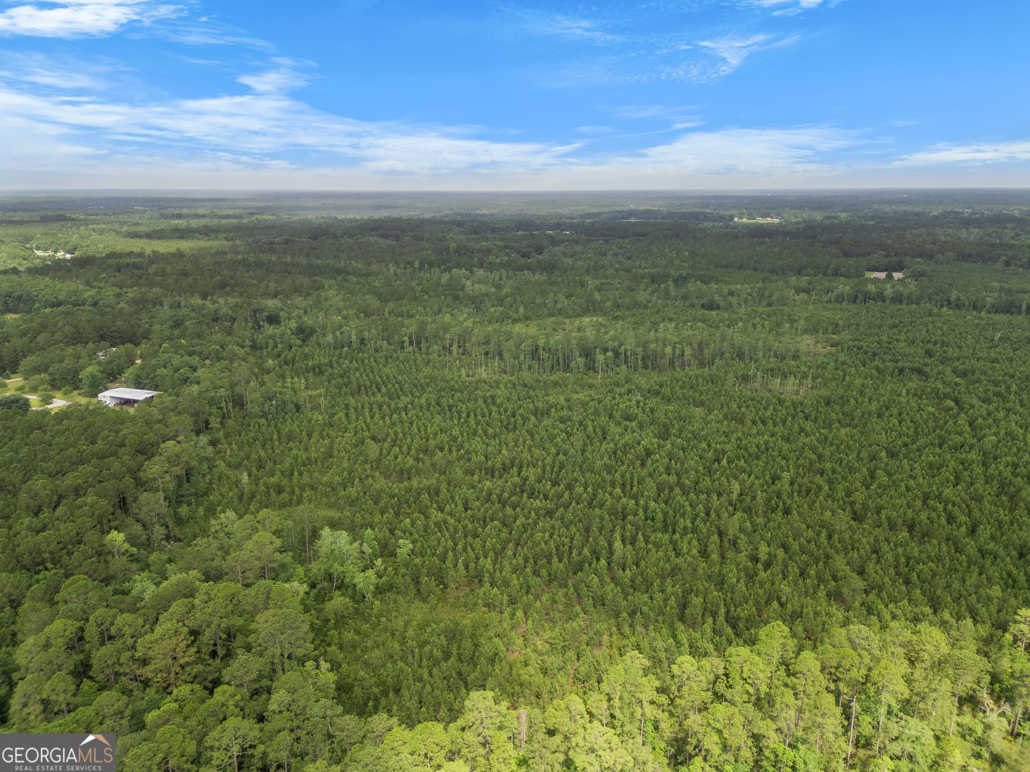 unimproved land for sale at 0 Rahn Station Road, Rincon, GA 31326 — photo 7