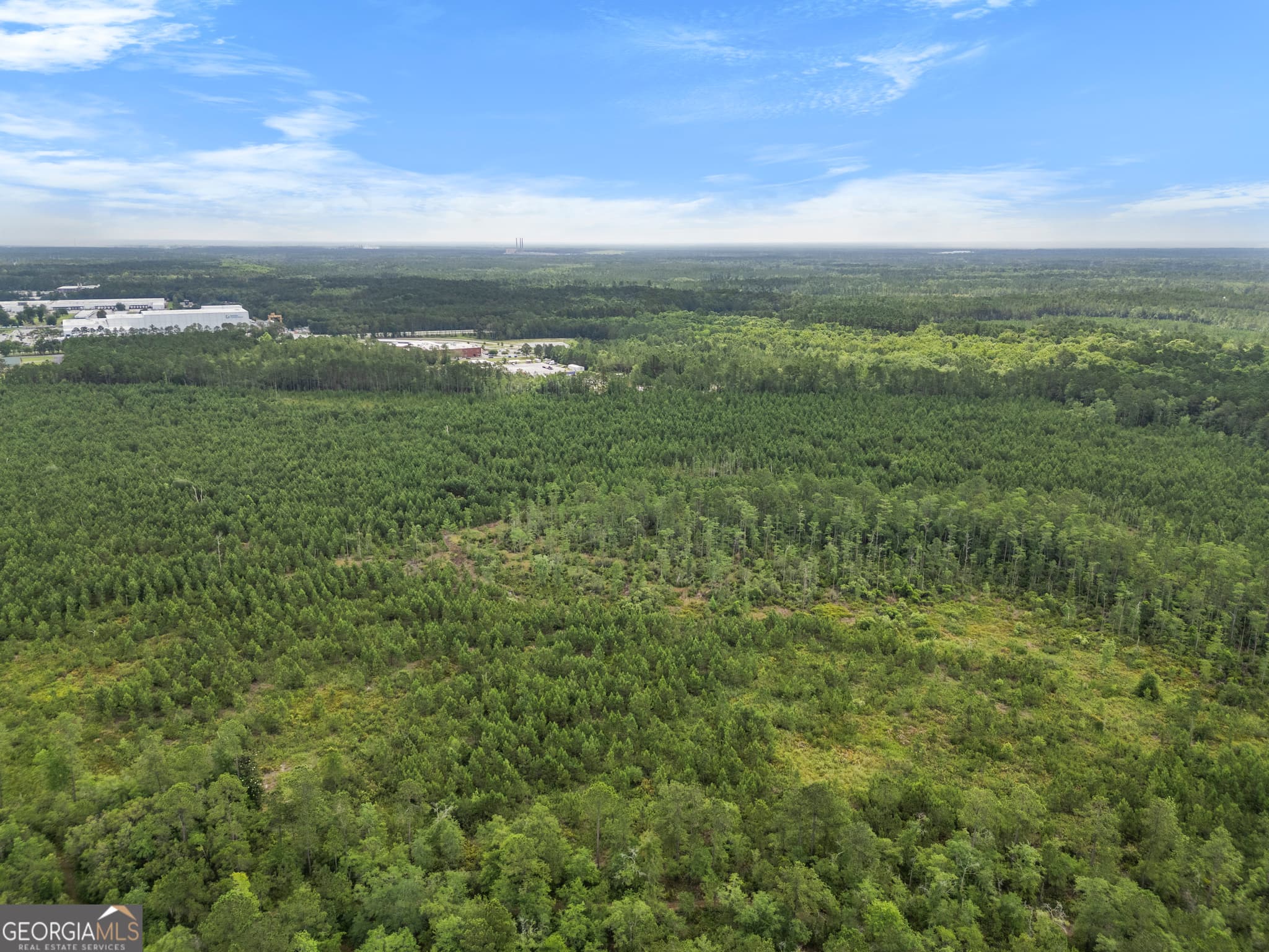 unimproved land for sale at 0 Rahn Station Road, Rincon, GA 31326 — photo 5