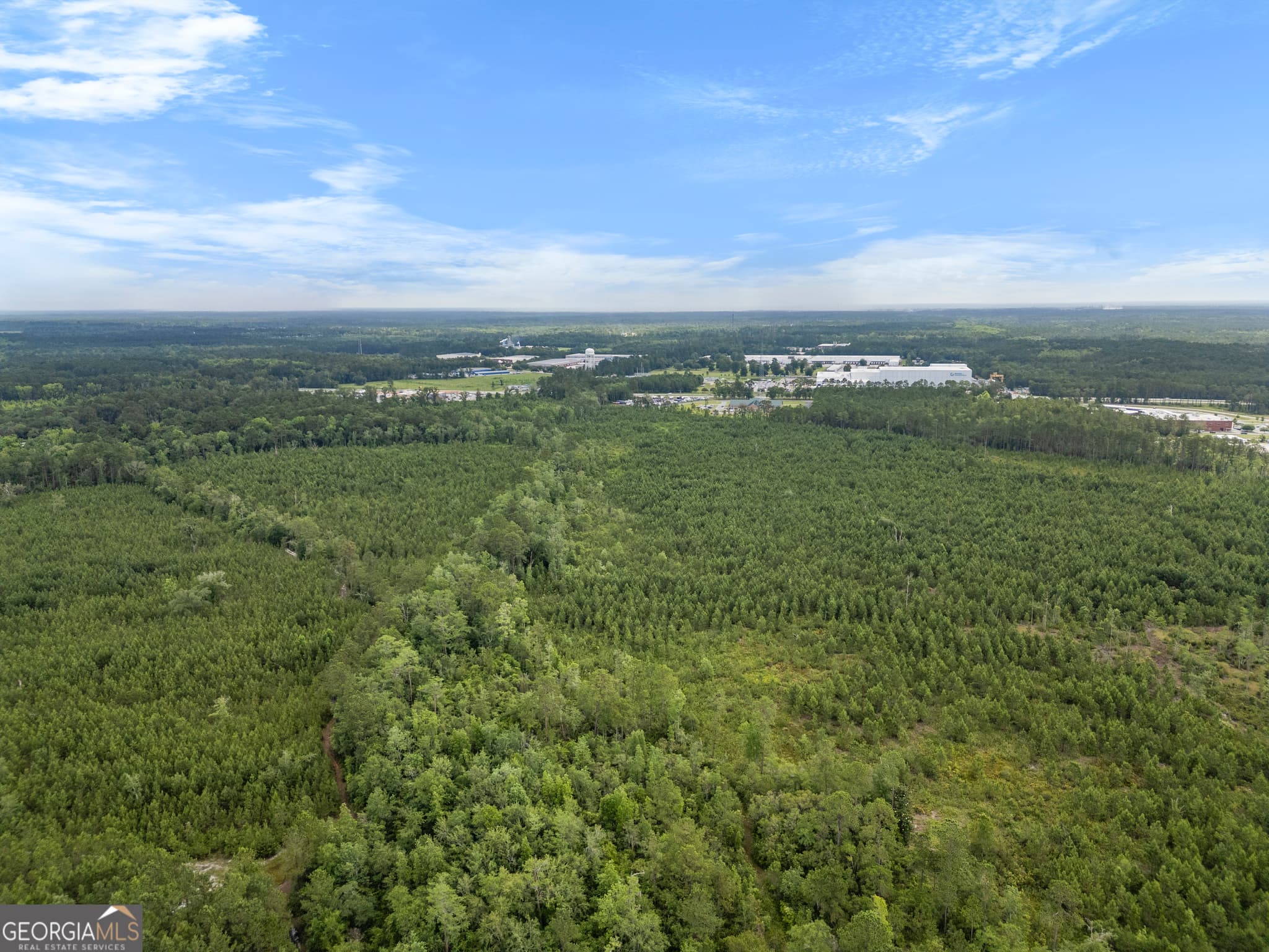 unimproved land for sale at 0 Rahn Station Road, Rincon, GA 31326 — photo 4