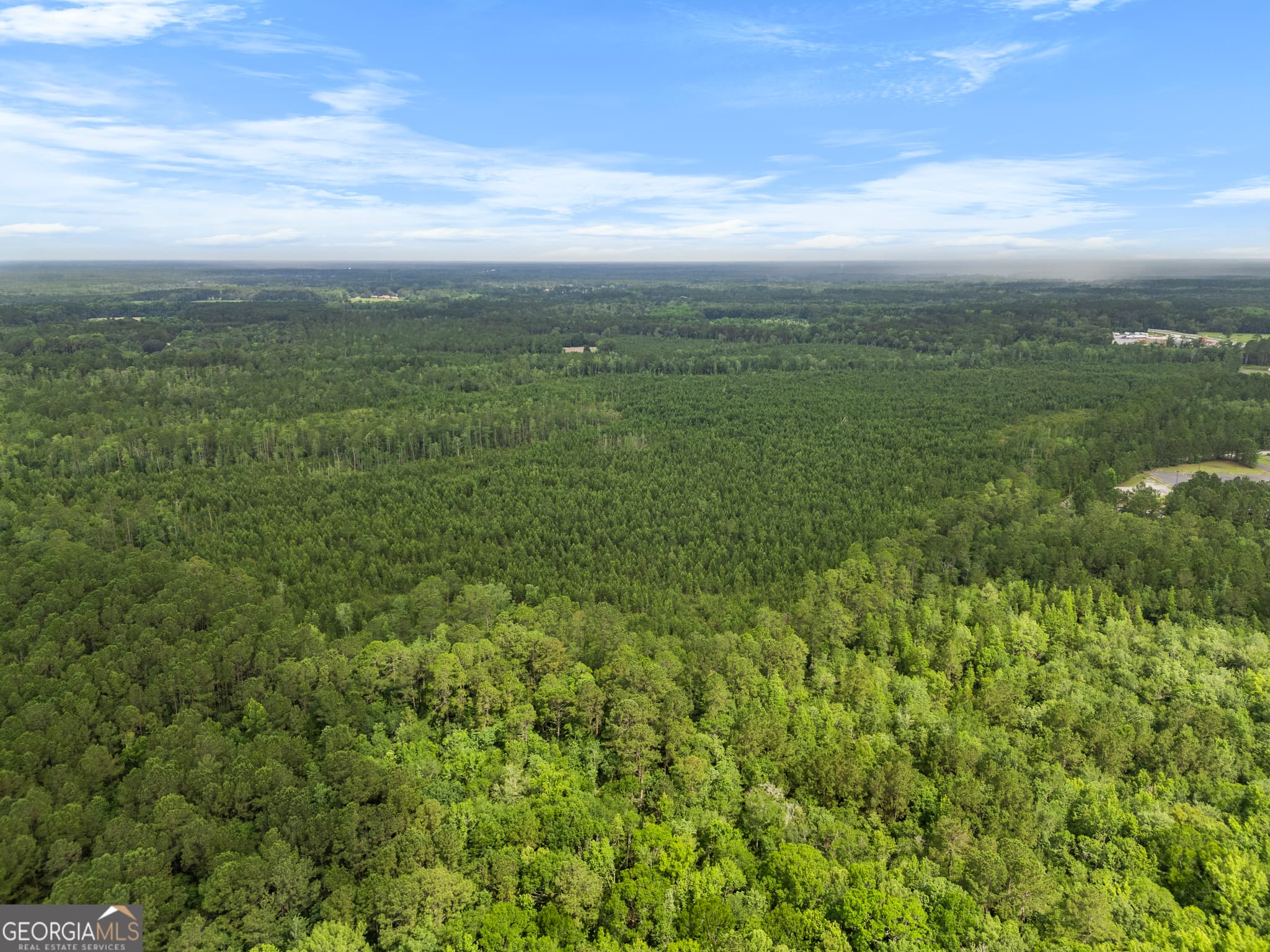 unimproved land for sale at 0 Rahn Station Road, Rincon, GA 31326 — photo 8