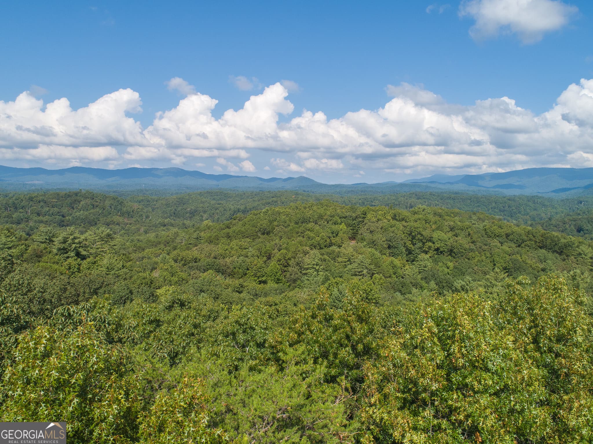 residential lot for sale at LOT 13 Shady Pine Trail, Ellijay, GA 30540 — photo 2