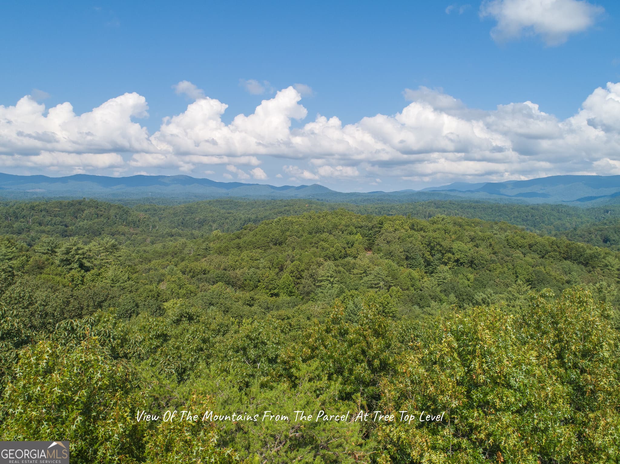 residential lot for sale at LOT 13 Shady Pine Trail, Ellijay, GA 30540 — photo 6