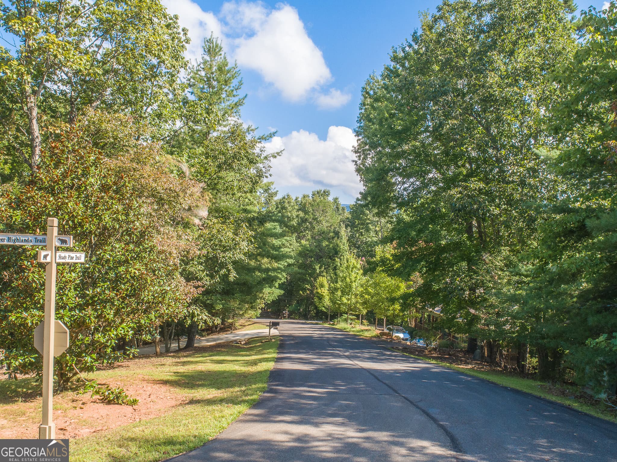 residential lot for sale at LOT 13 Shady Pine Trail, Ellijay, GA 30540 — photo 3
