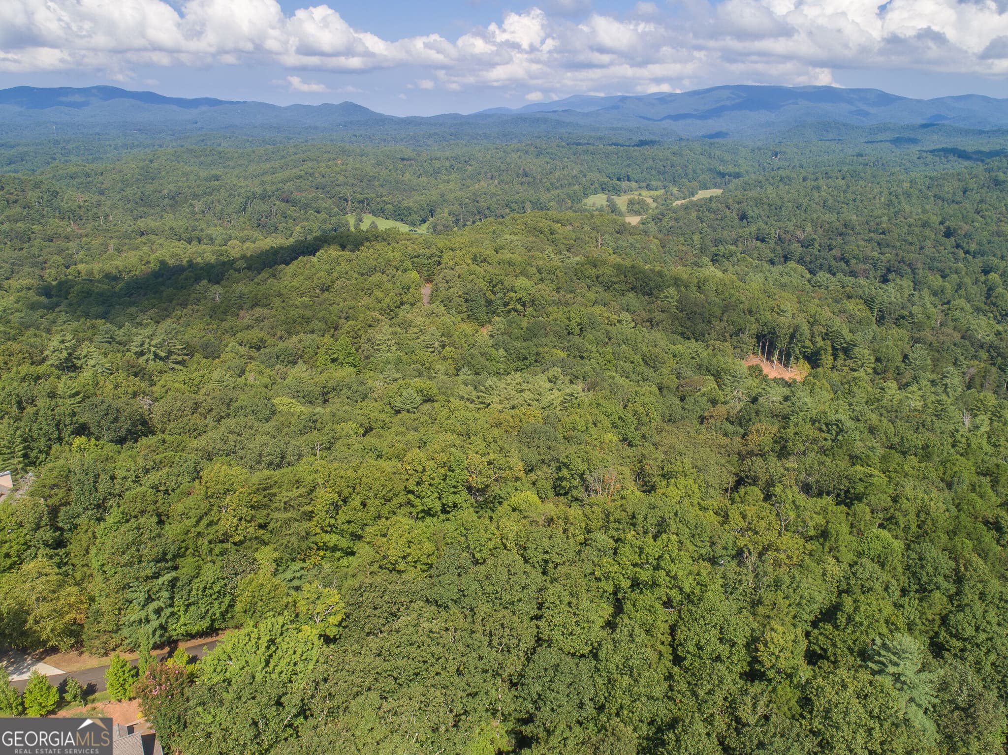residential lot for sale at LOT 13 Shady Pine Trail, Ellijay, GA 30540 — photo 1 of 22