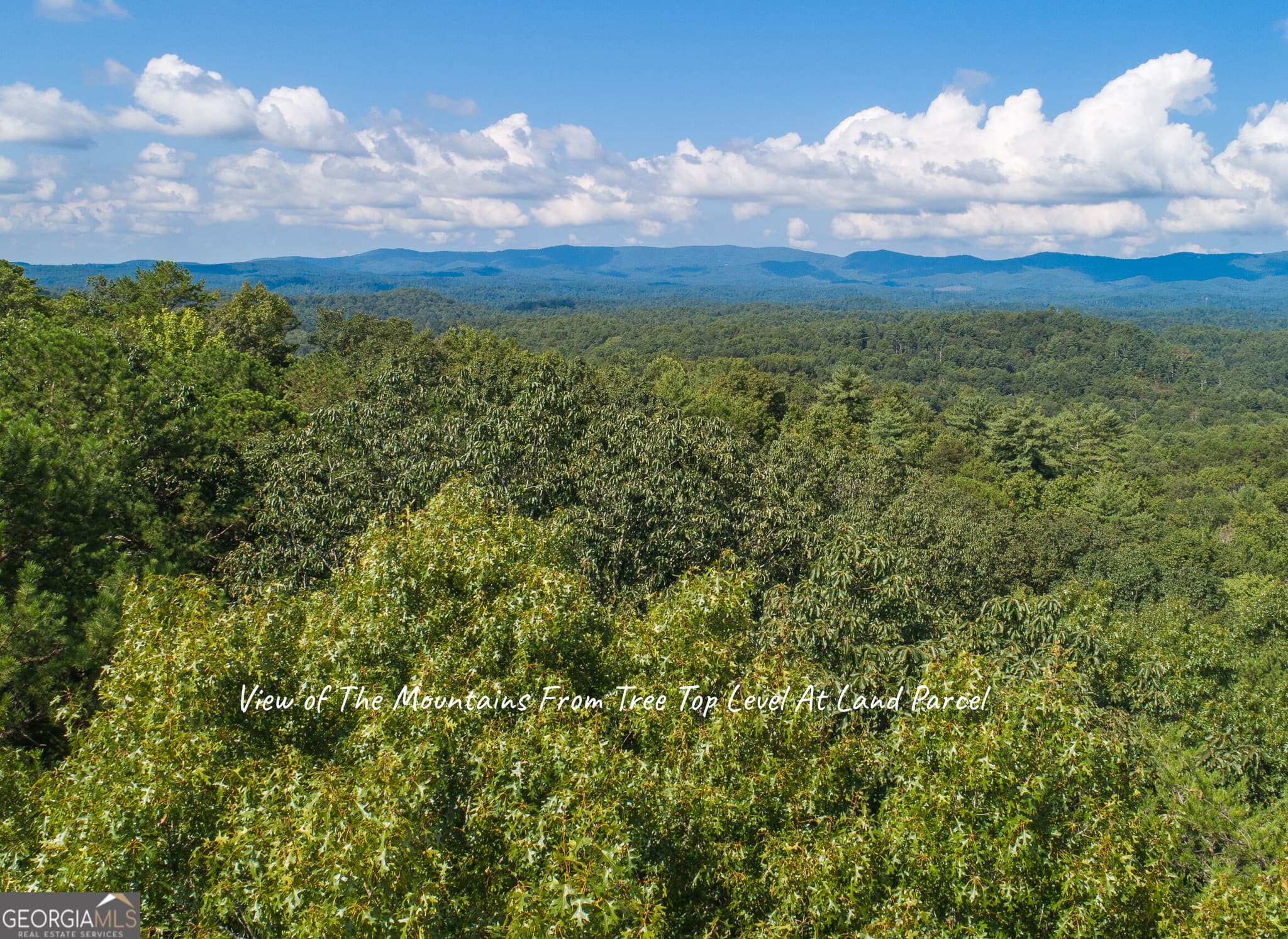 residential lot for sale at LOT 13 Shady Pine Trail, Ellijay, GA 30540 — photo 9