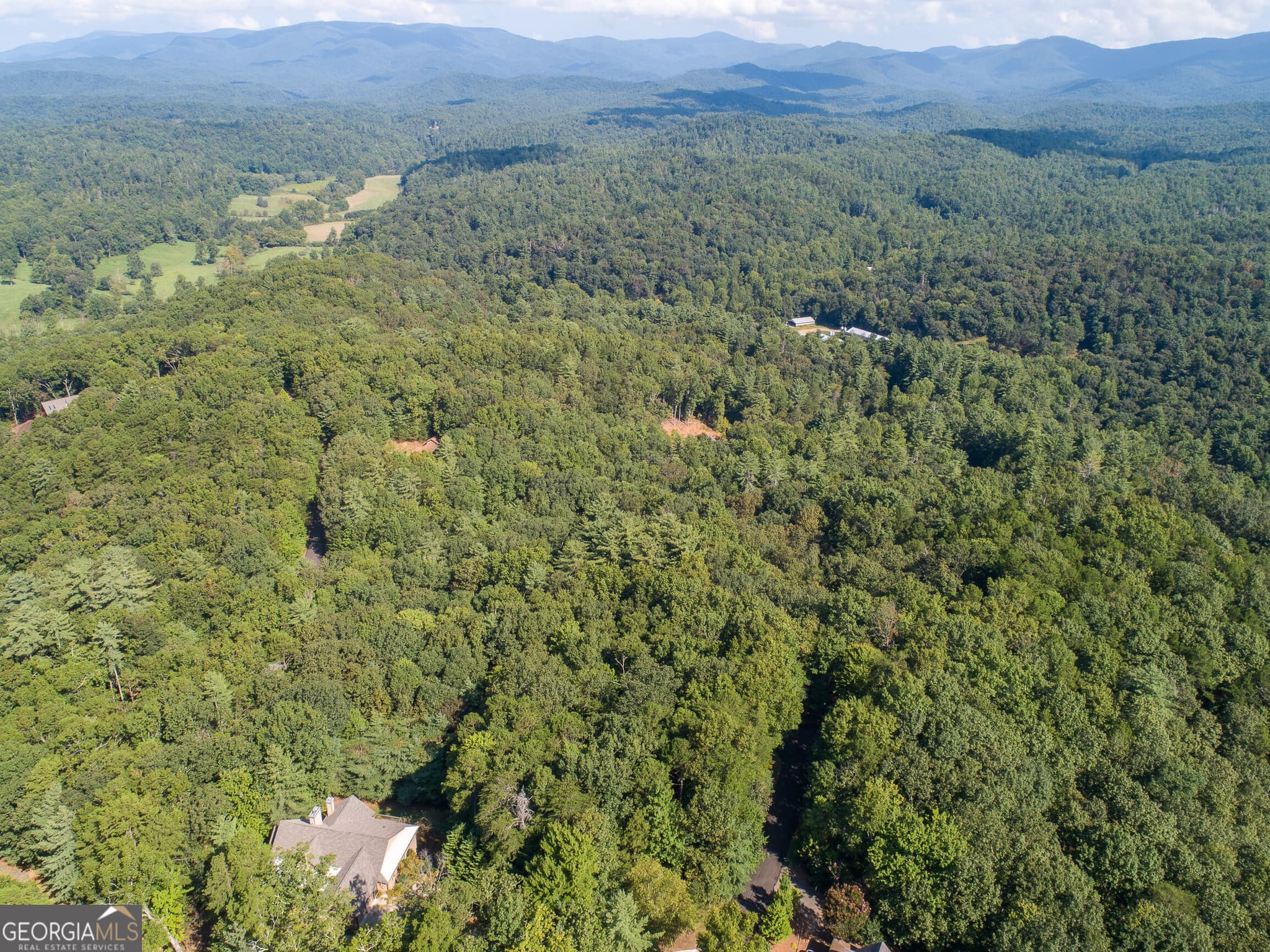residential lot for sale at LOT 13 Shady Pine Trail, Ellijay, GA 30540 — photo 10