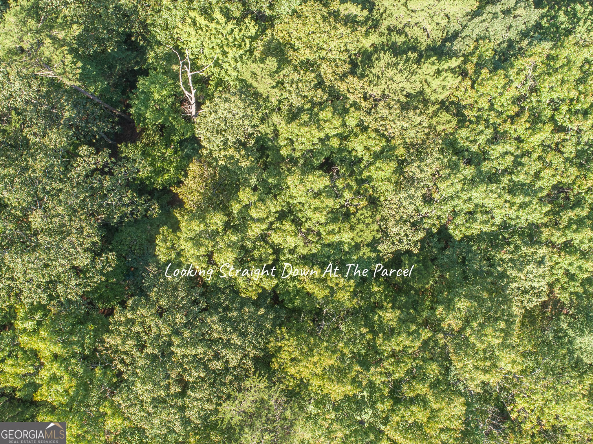 residential lot for sale at LOT 13 Shady Pine Trail, Ellijay, GA 30540 — photo 8
