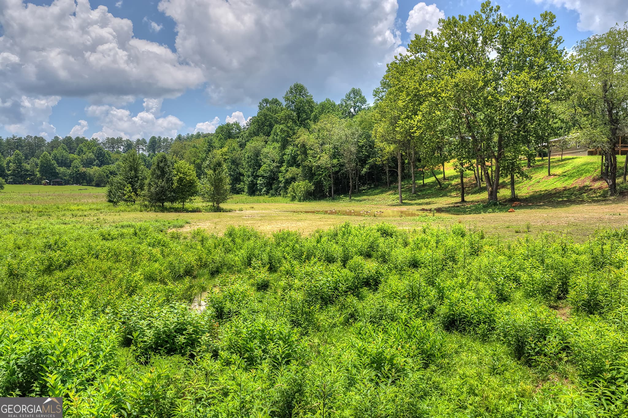 4 bedroom, 4 bathroom, 3,226 sq ft cabin,single family residence for sale at 2125 Shady Grove, Murphy, NC 28906 — photo 4